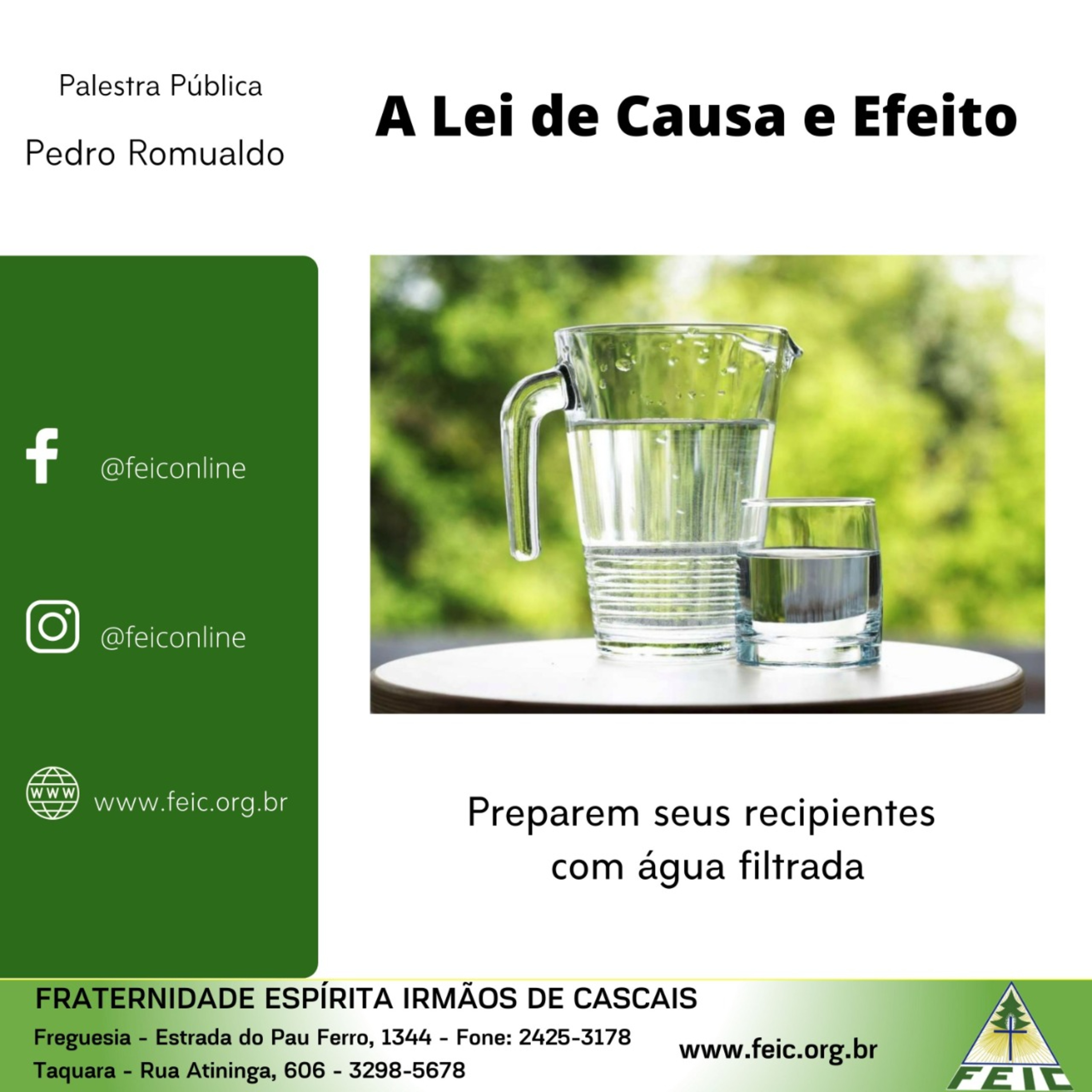 Palestras Públicas - FEIC