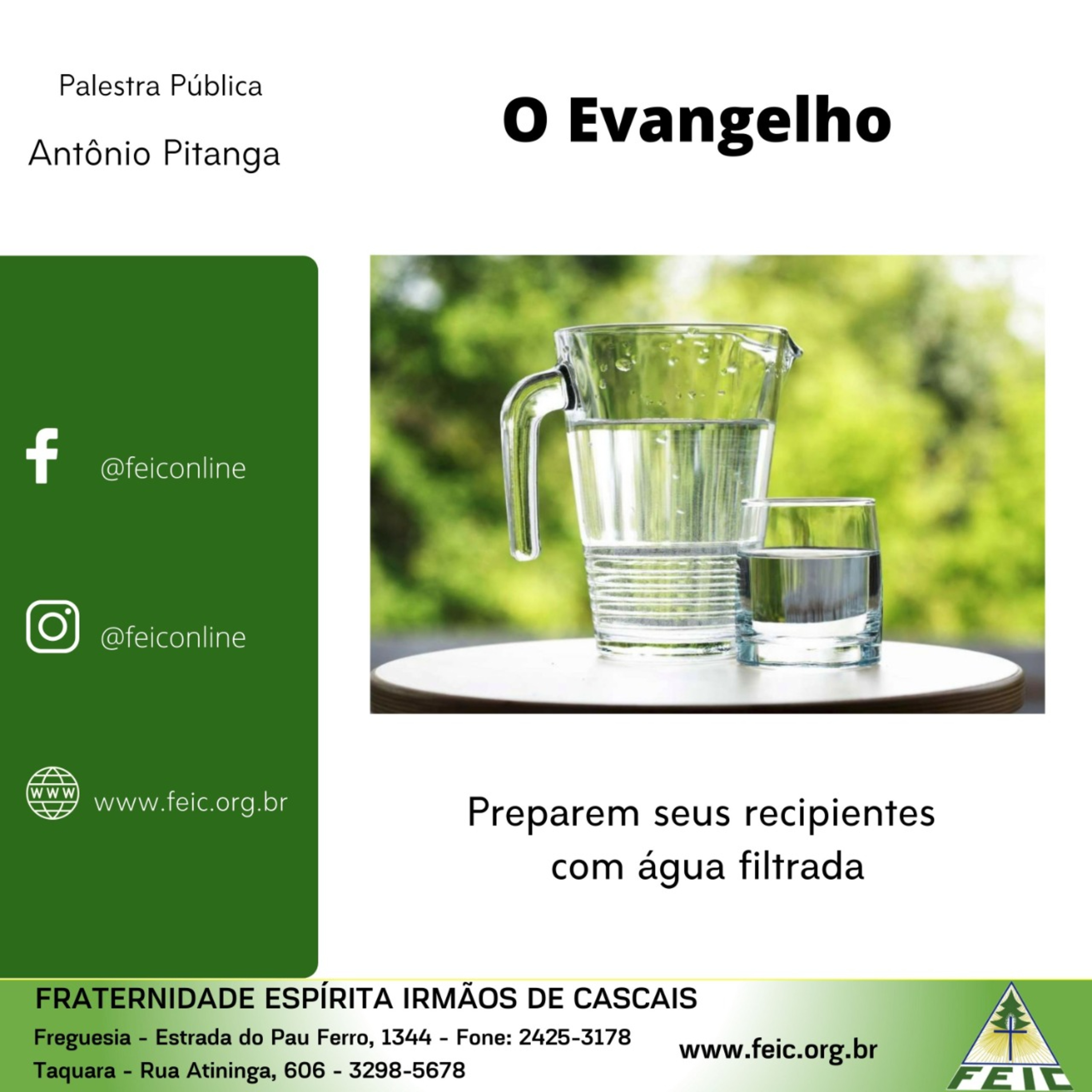 Palestras Públicas - FEIC