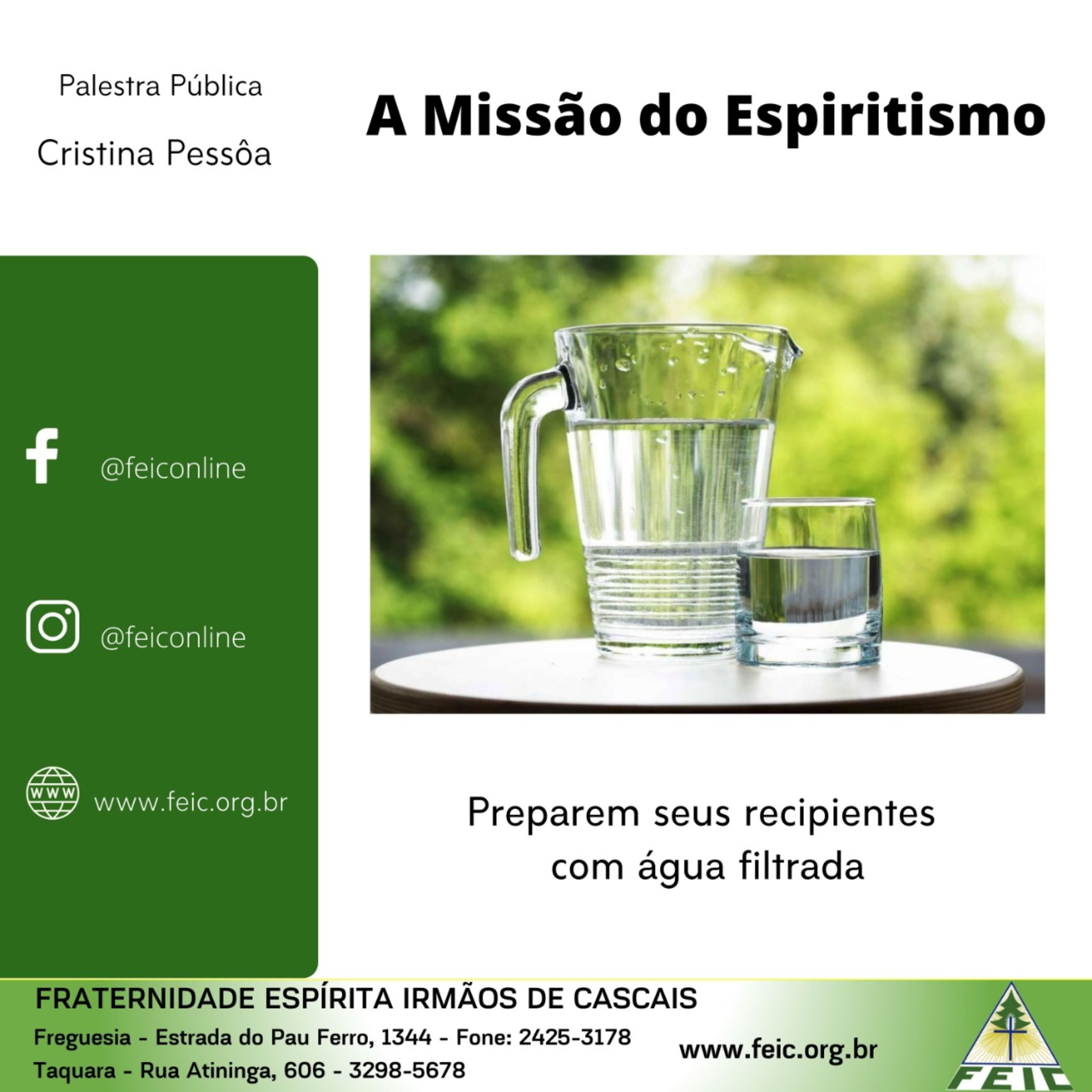 Palestras Públicas - FEIC