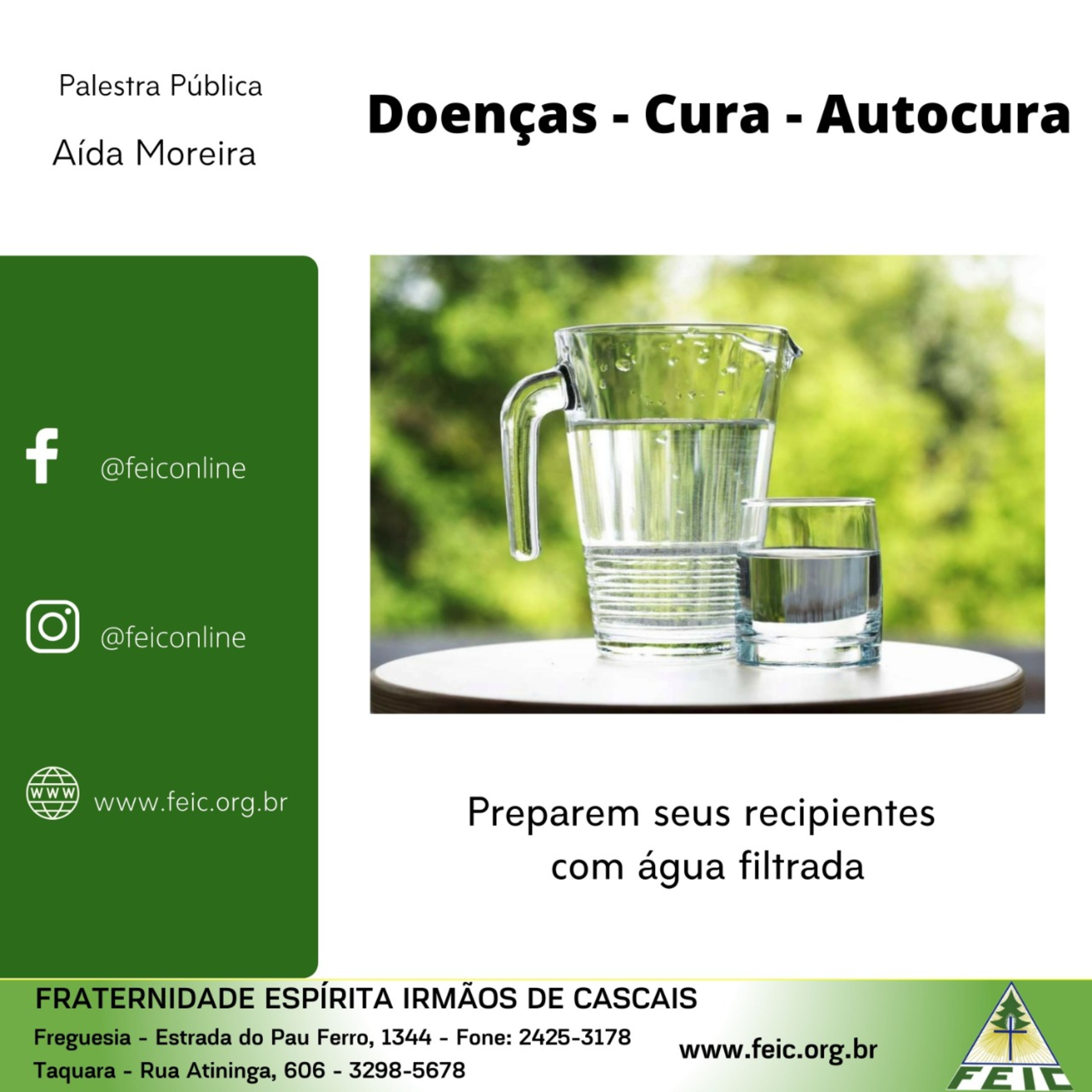 Palestras Públicas - FEIC
