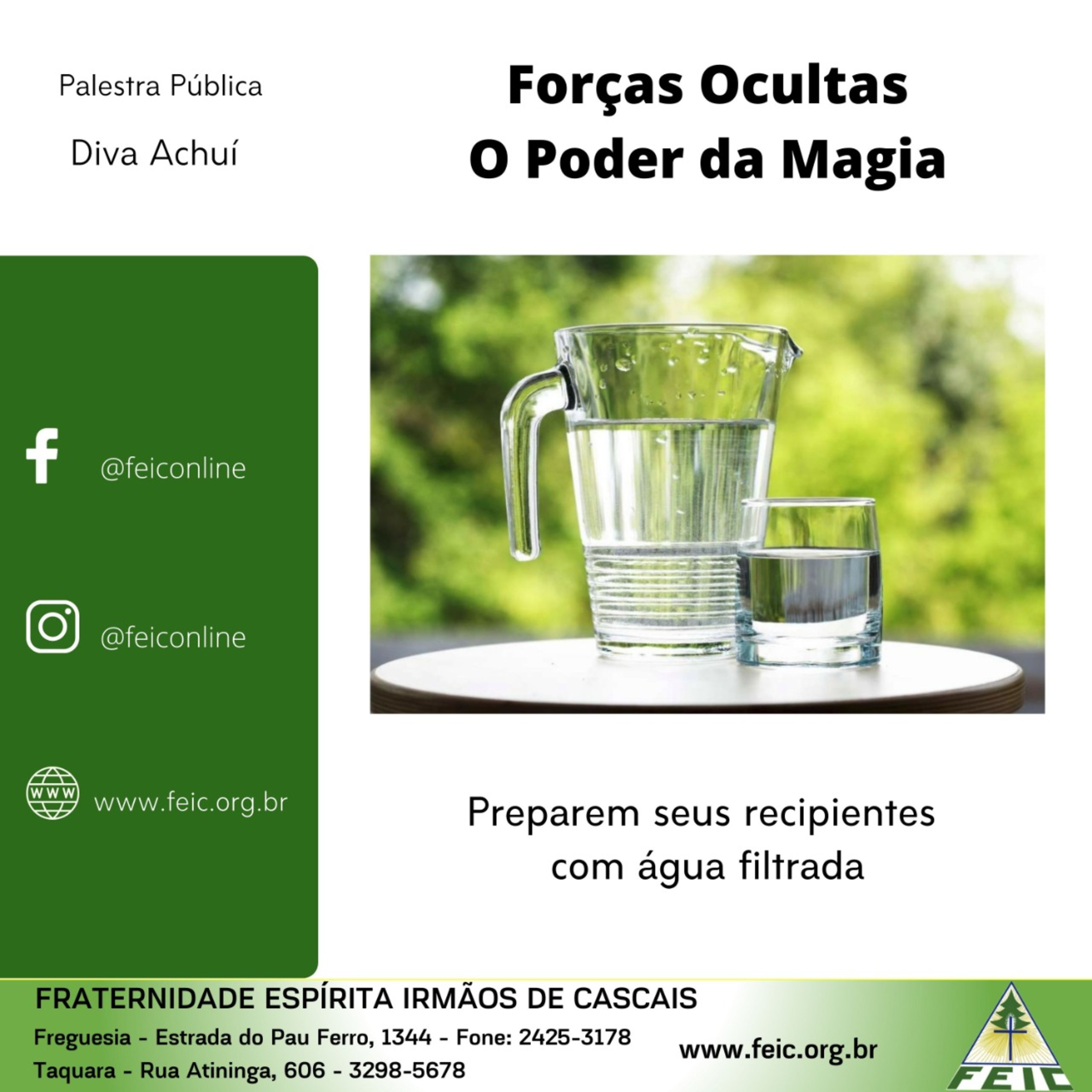 Palestras Públicas - FEIC