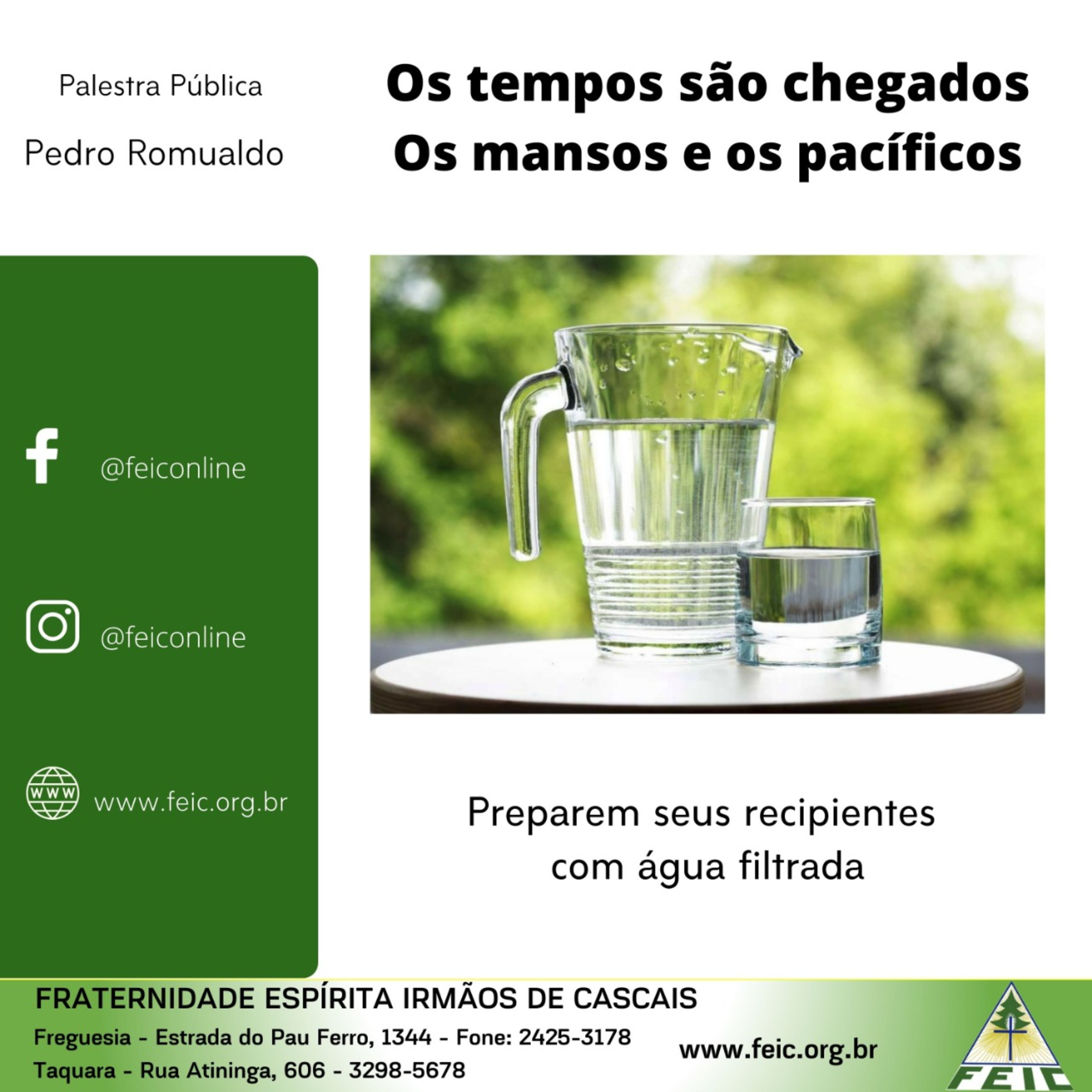 Palestras Públicas - FEIC