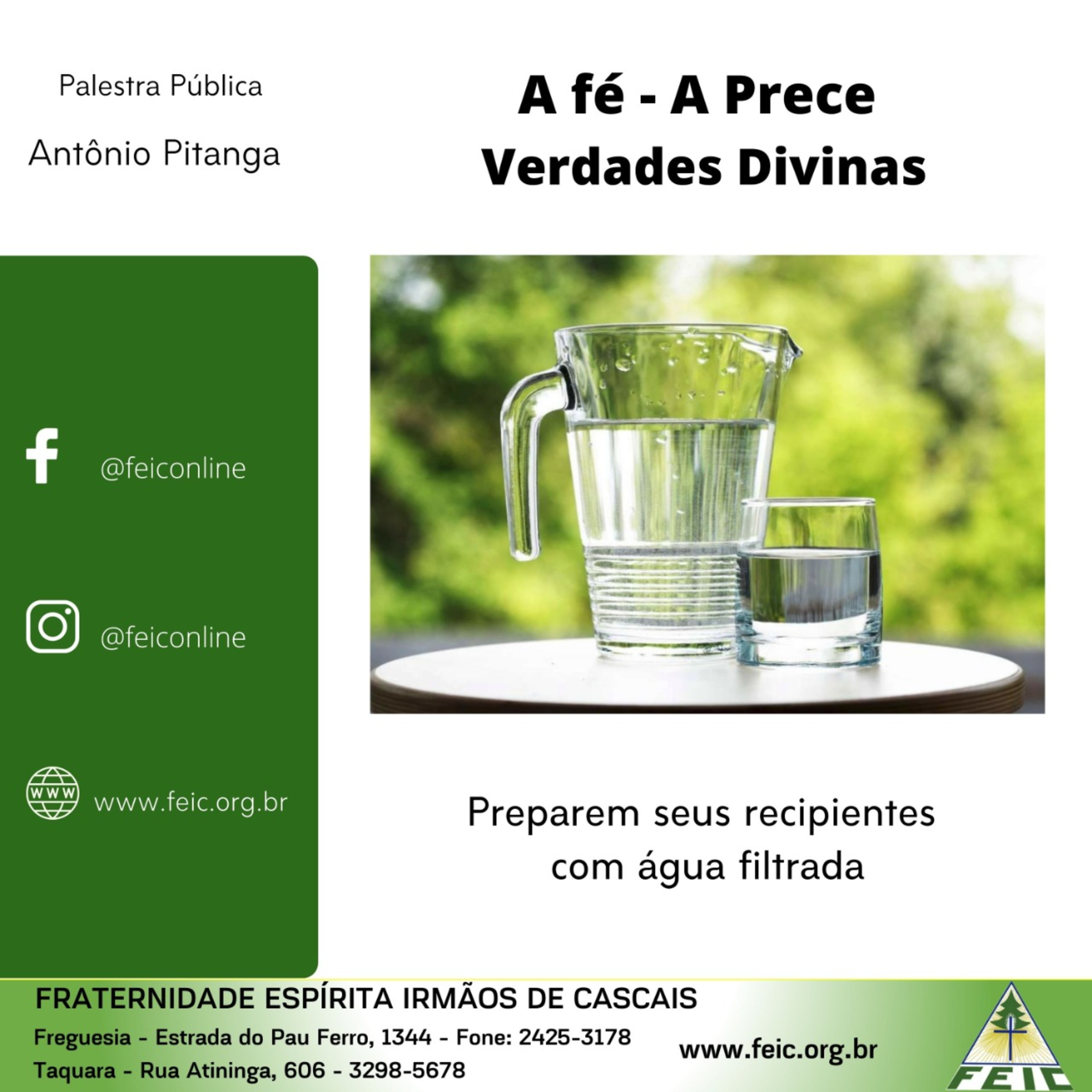 Palestras Públicas - FEIC