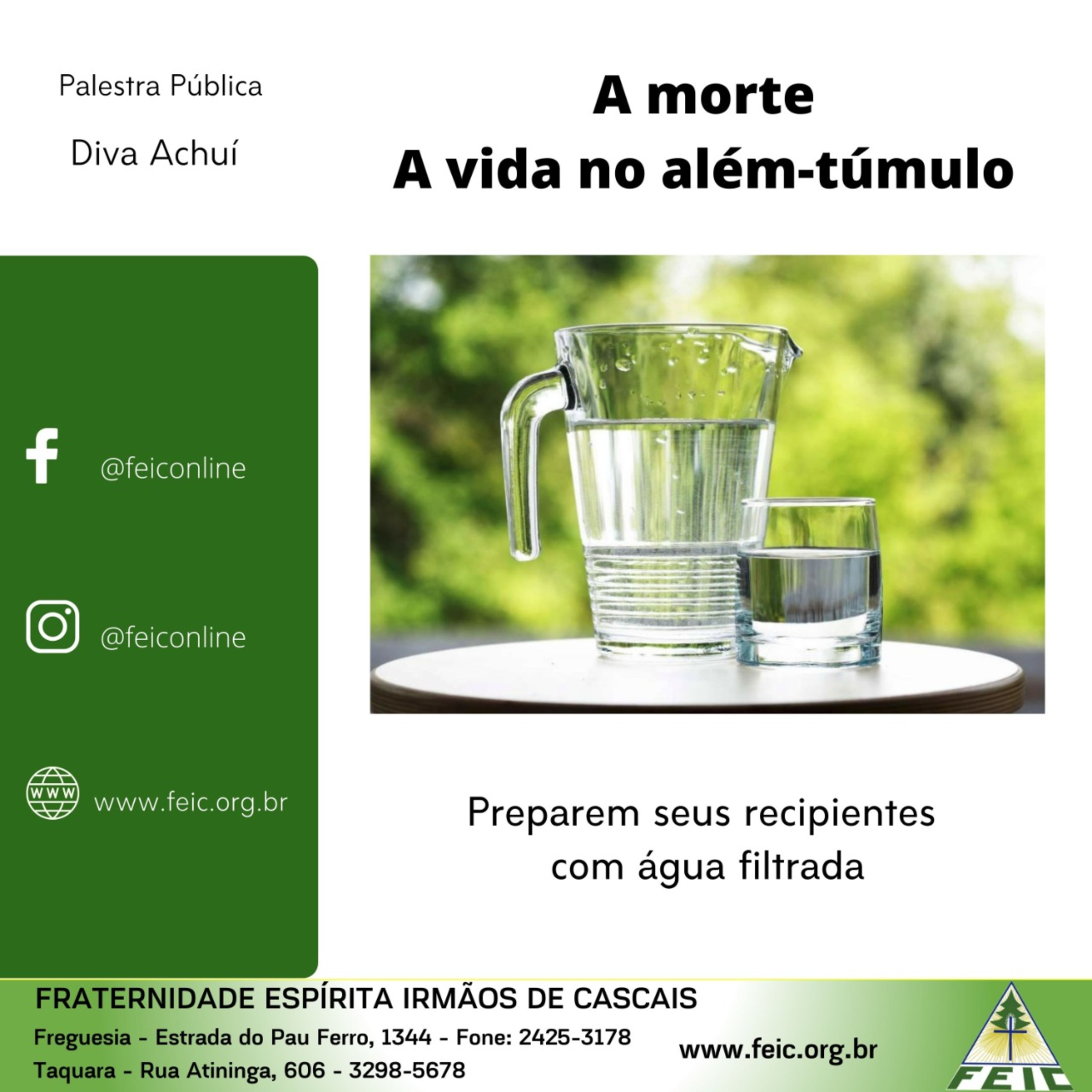 Palestras Públicas - FEIC