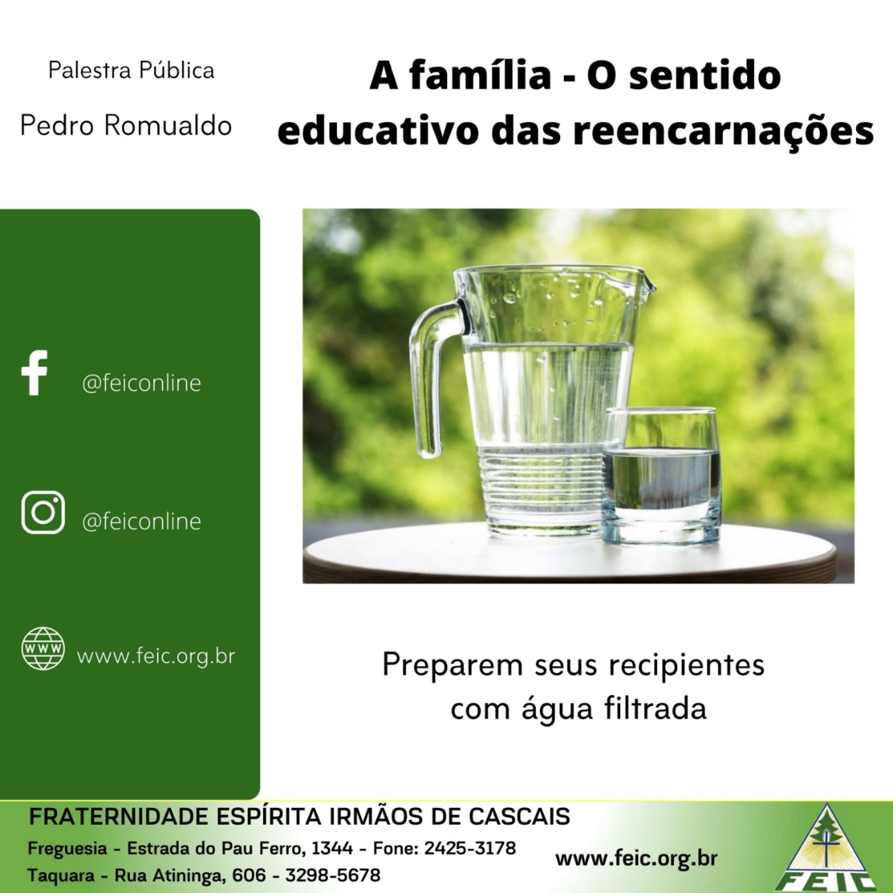 Palestras Públicas - FEIC