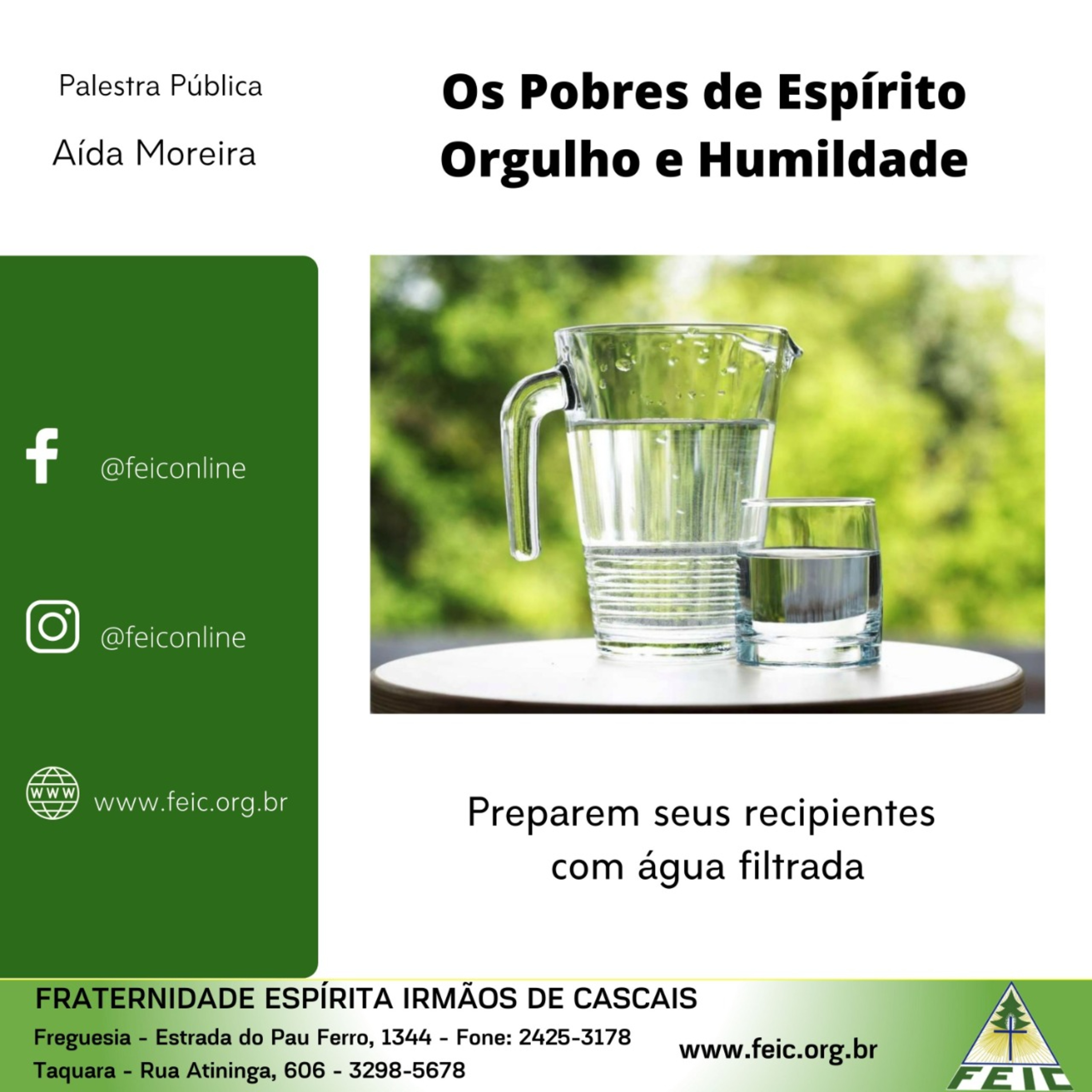 Palestras Públicas - FEIC