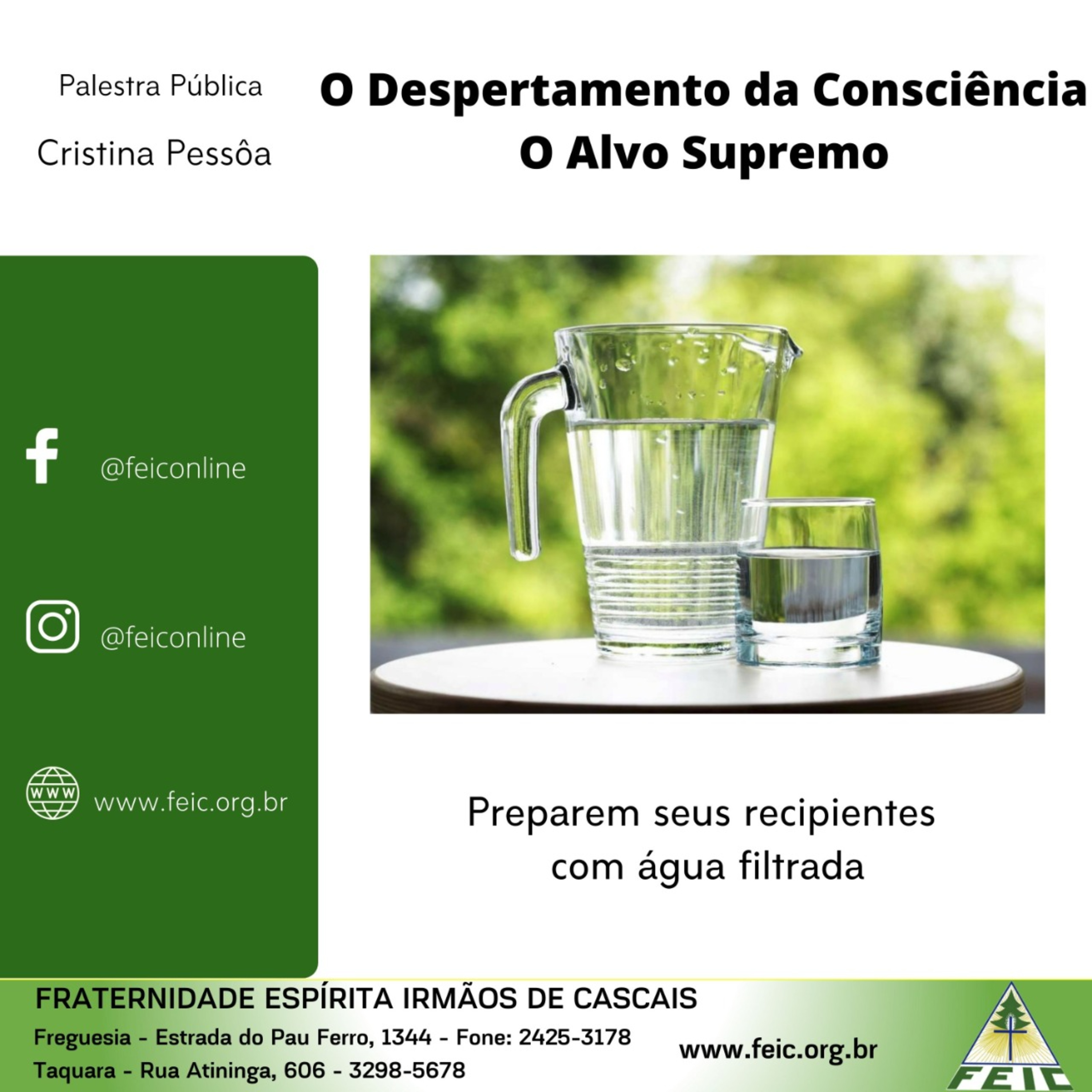 Palestras Públicas - FEIC