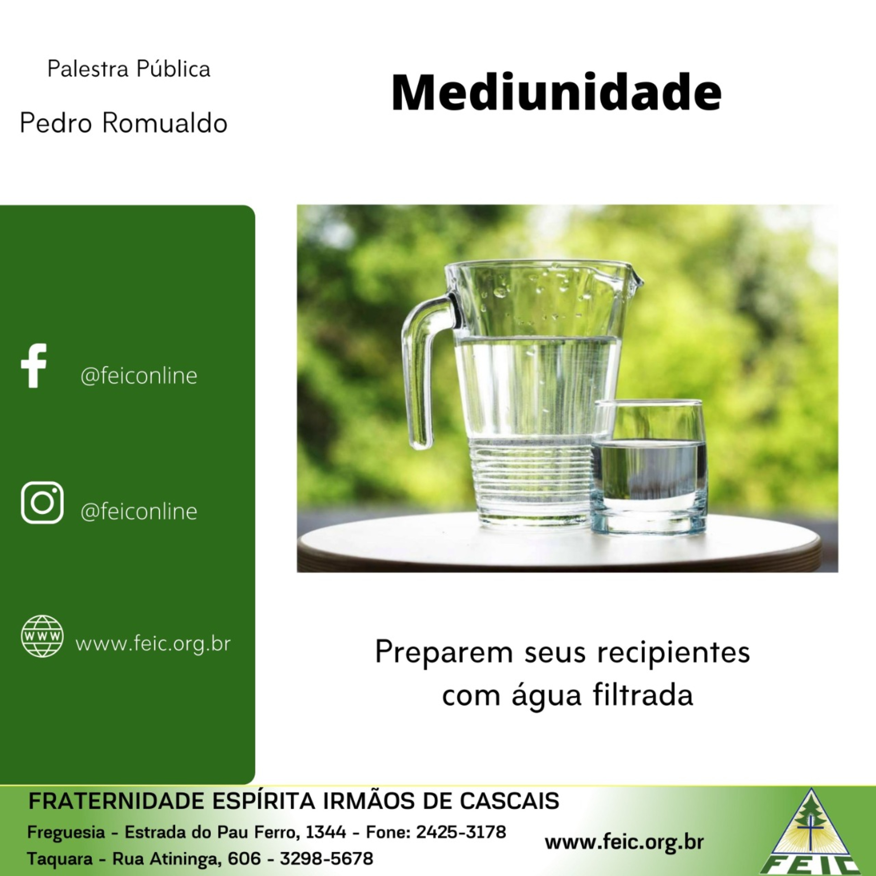 Palestras Públicas - FEIC