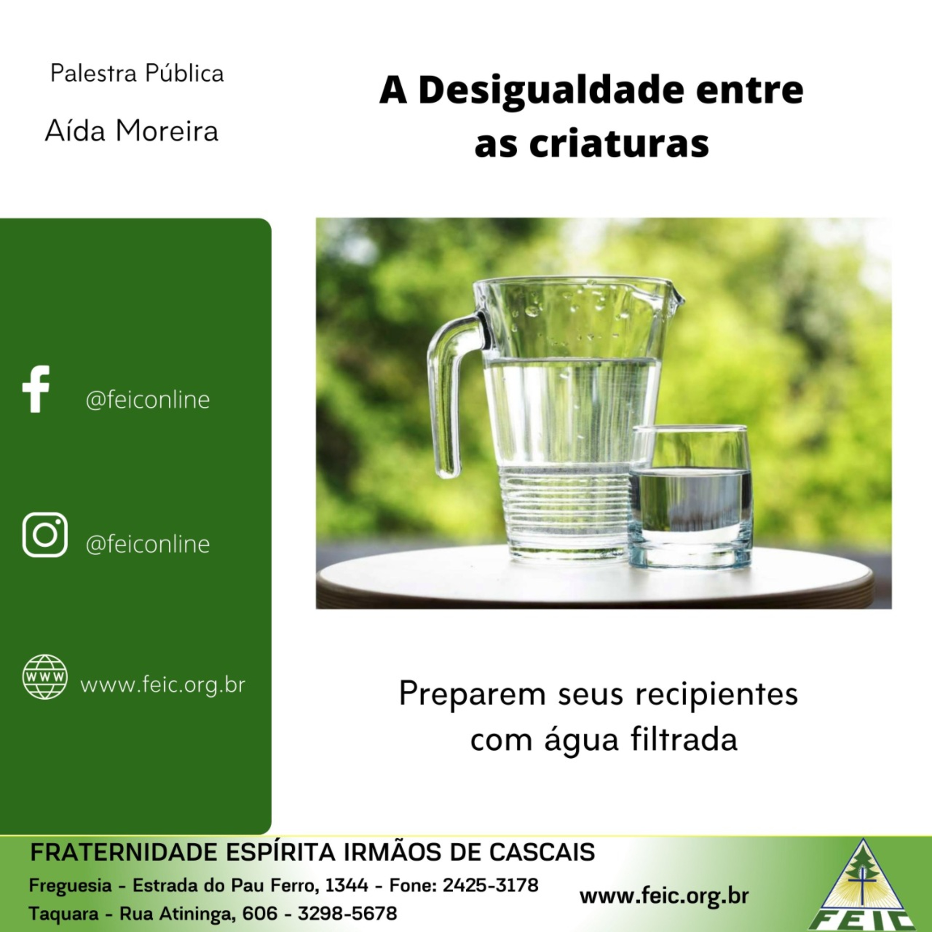 Palestras Públicas - FEIC