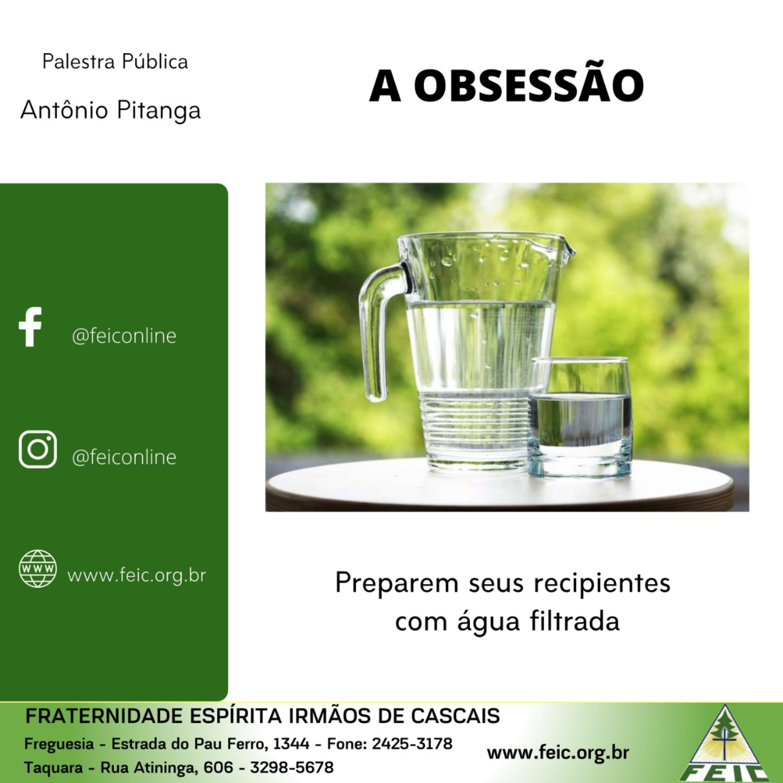 Palestras Públicas - FEIC