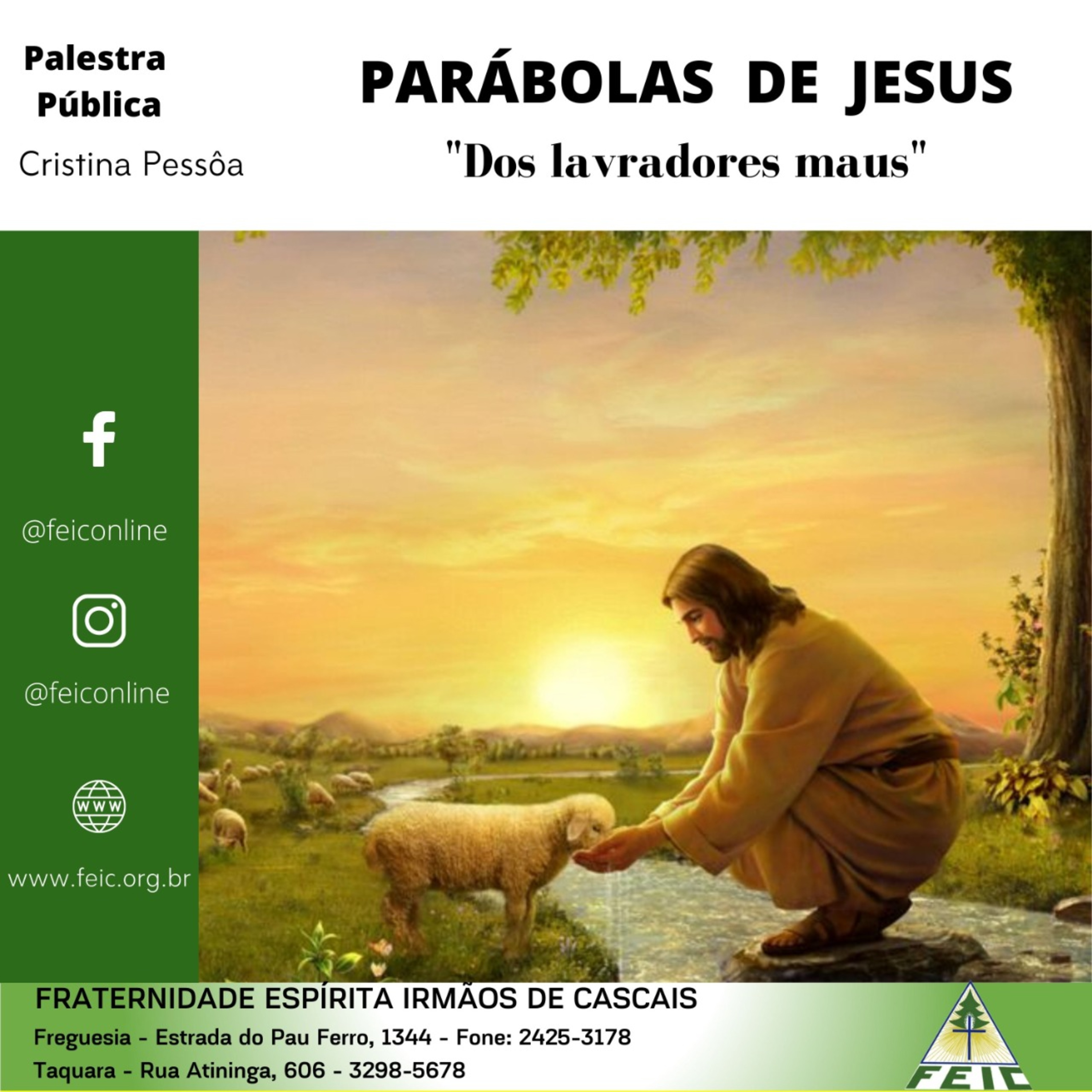 Palestras Públicas - FEIC