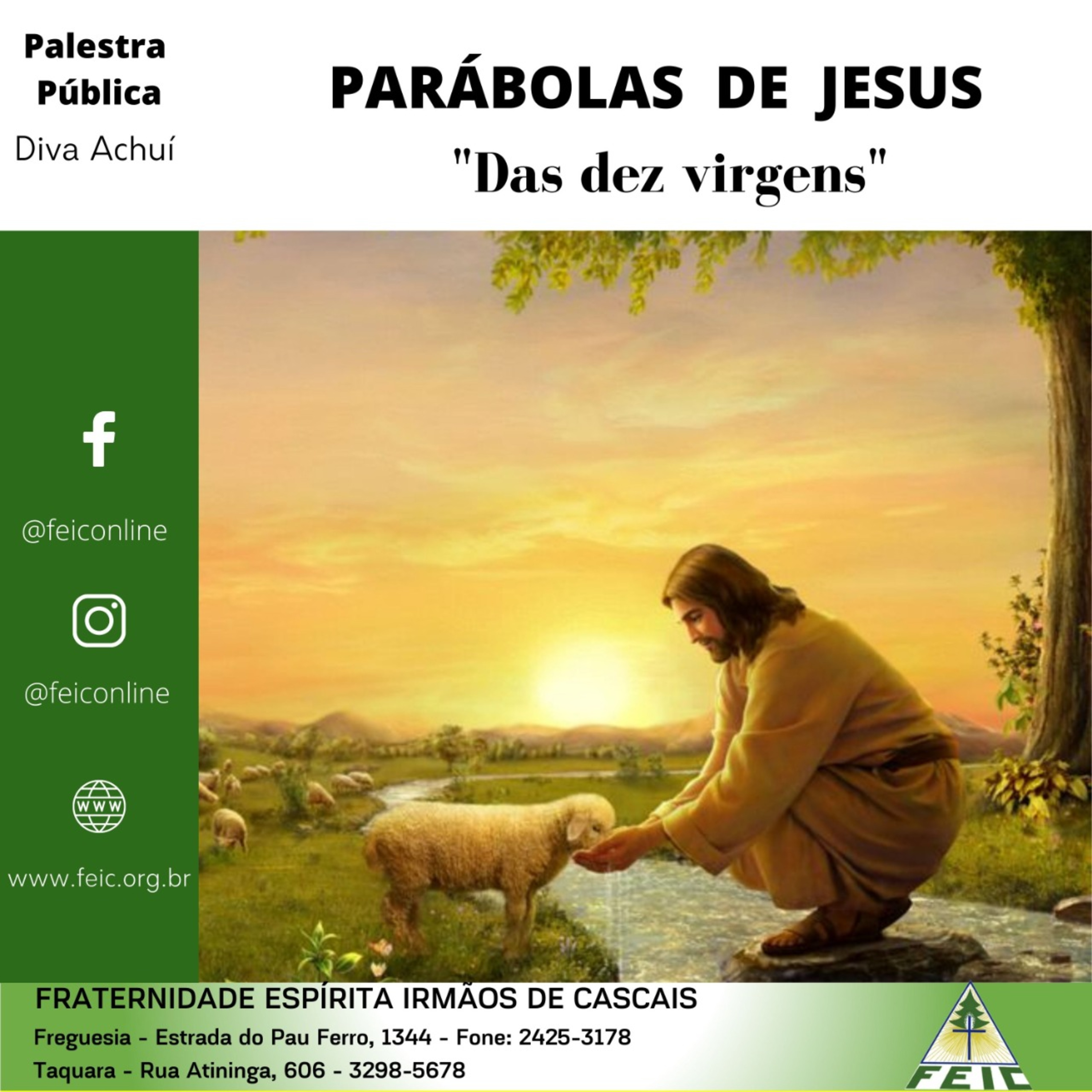 Palestras Públicas - FEIC