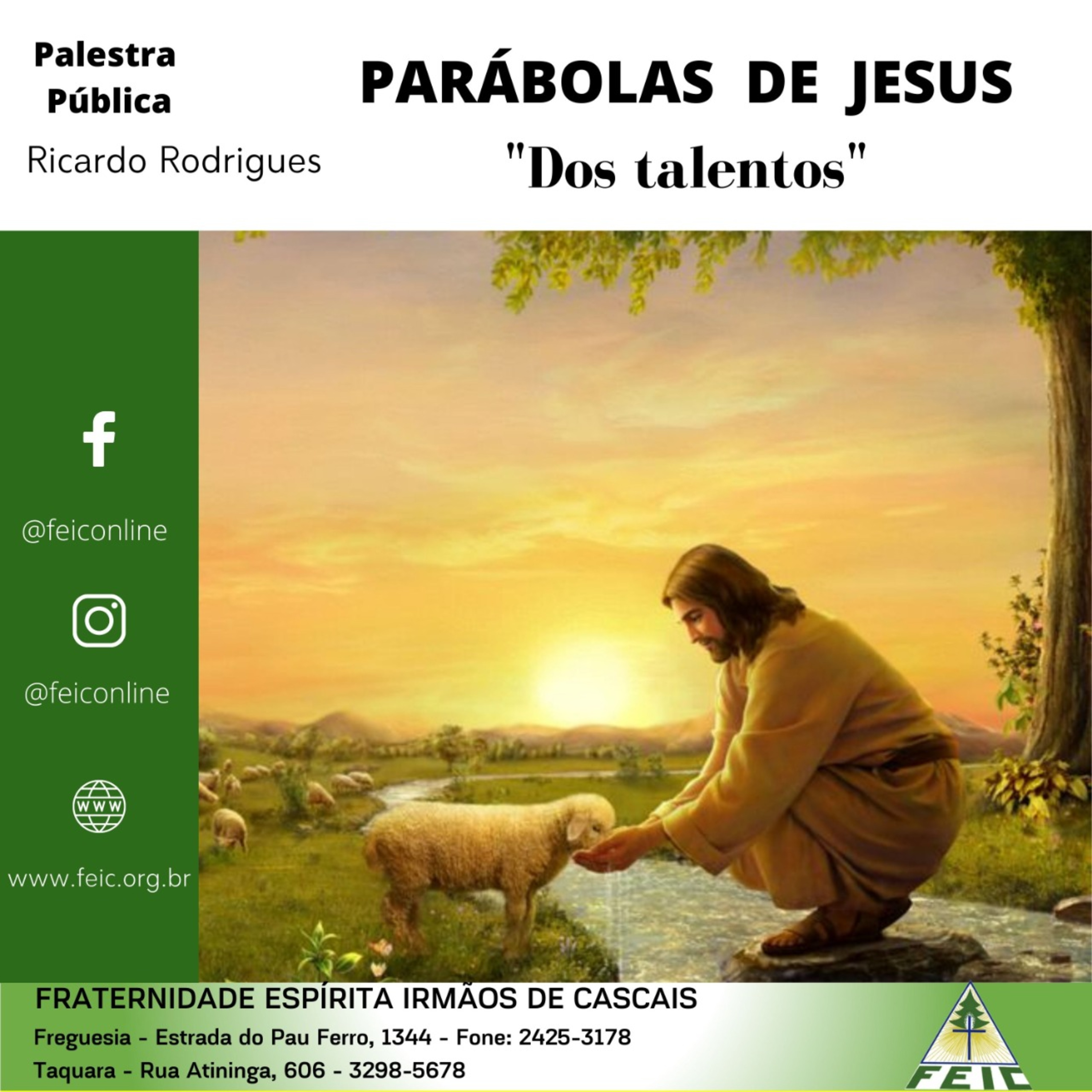Palestras Públicas - FEIC