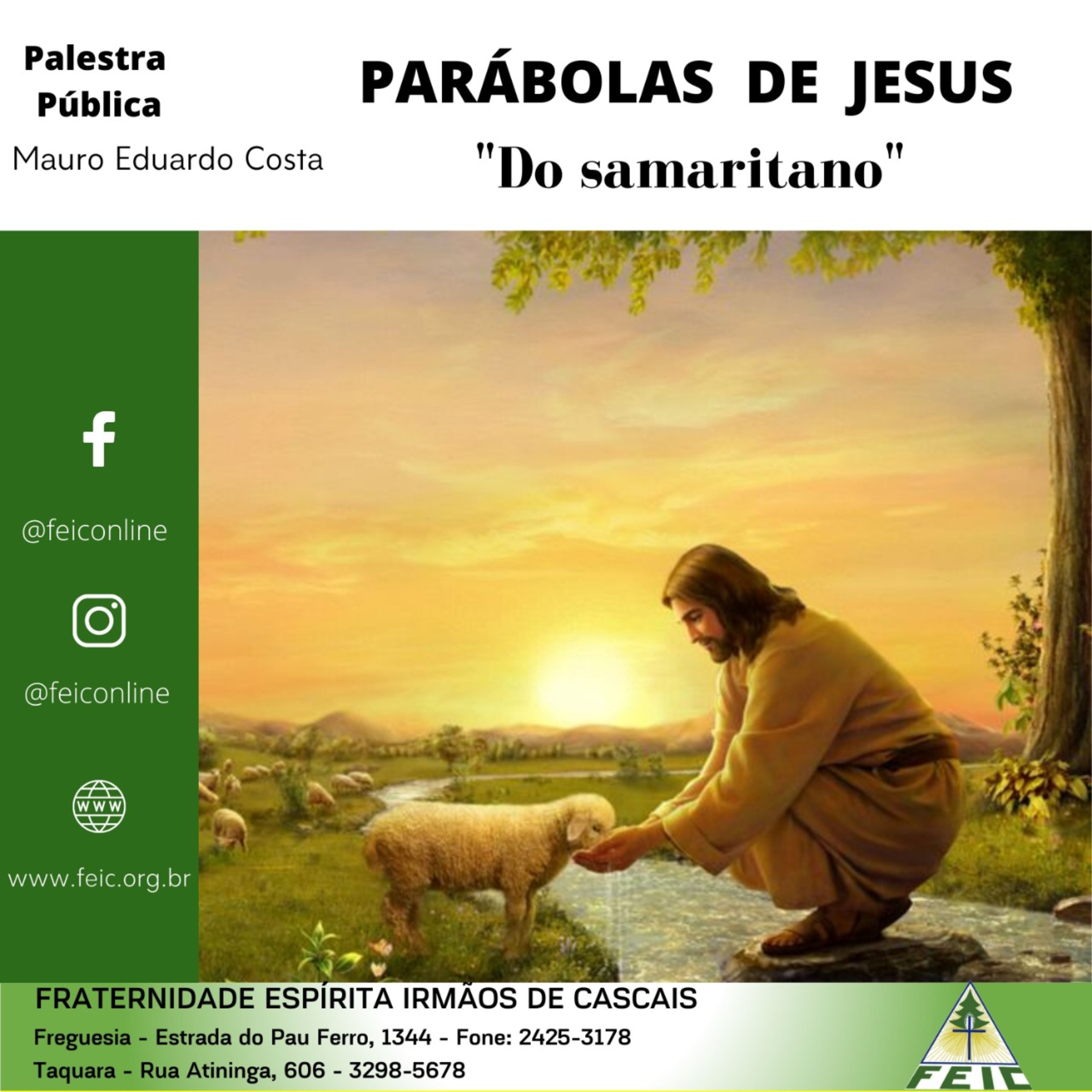 Palestras Públicas - FEIC