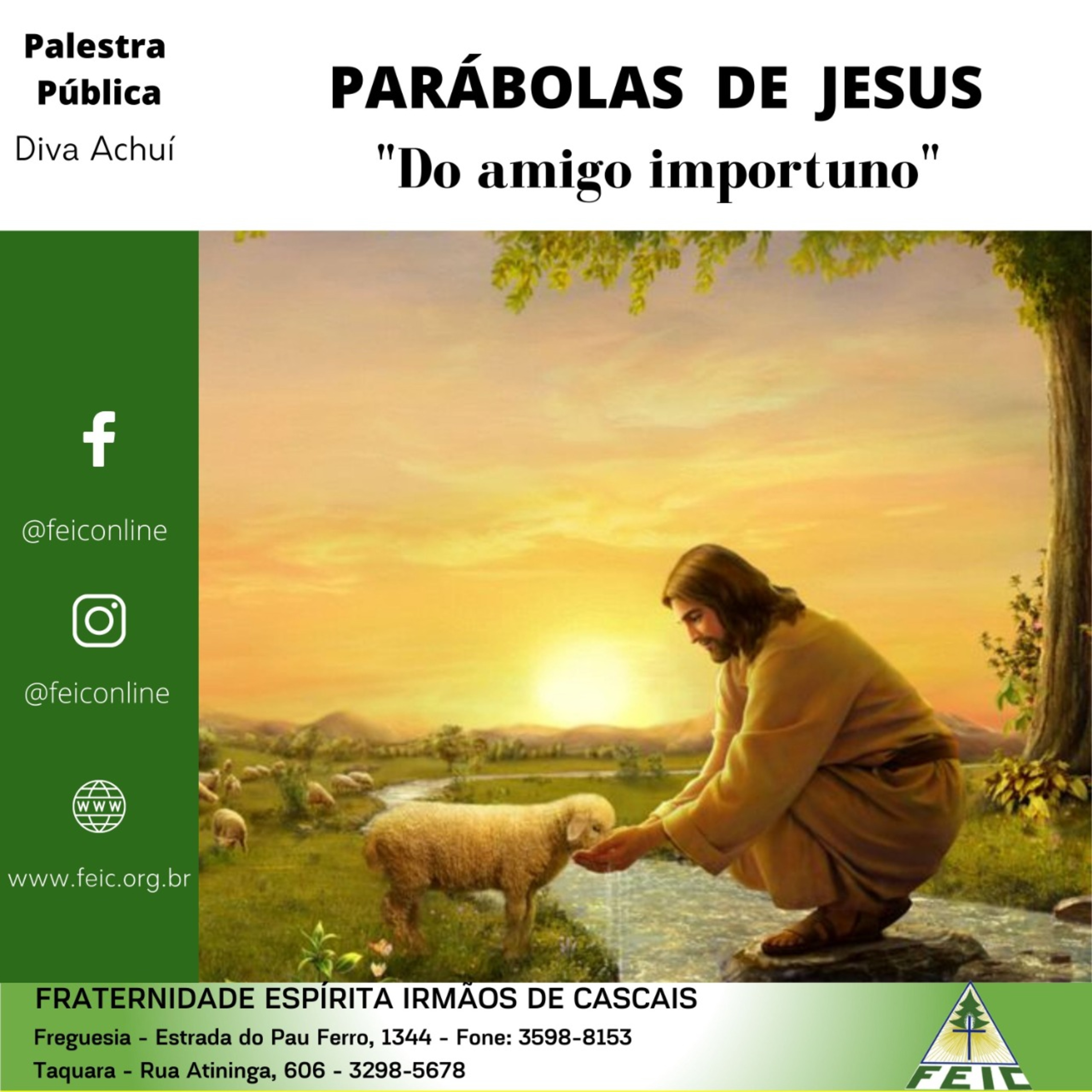 Palestras Públicas - FEIC
