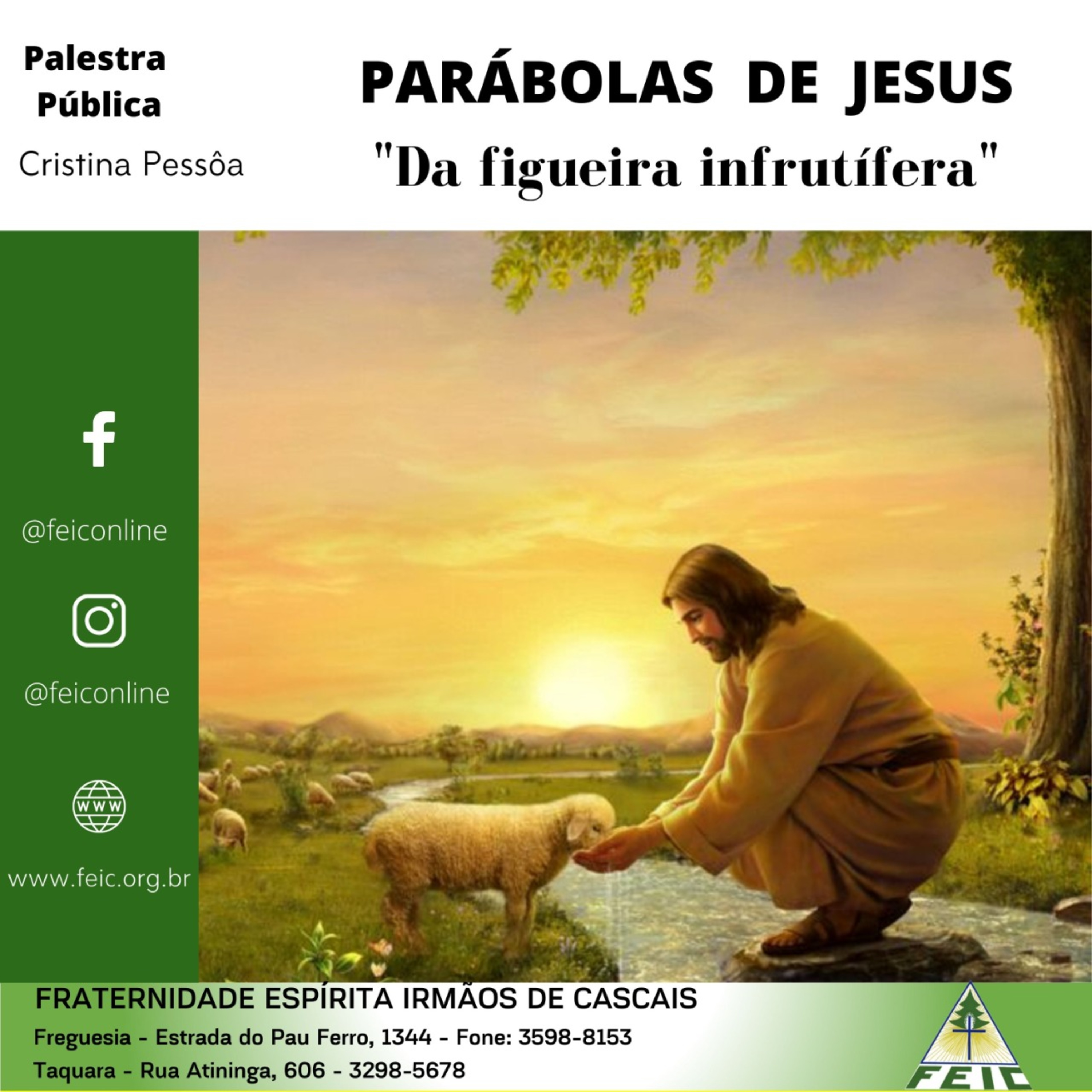 Palestras Públicas - FEIC