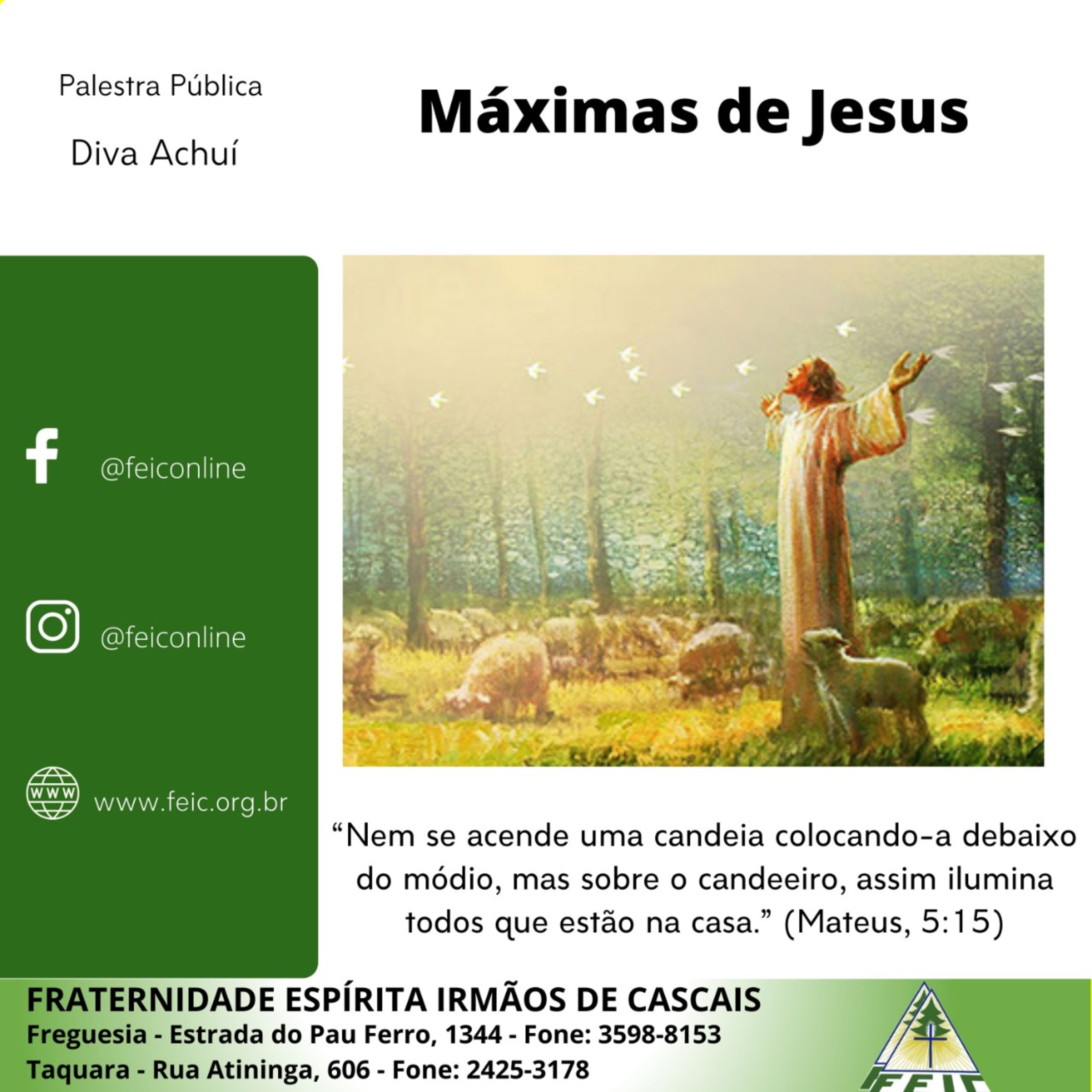 Palestras Públicas - FEIC