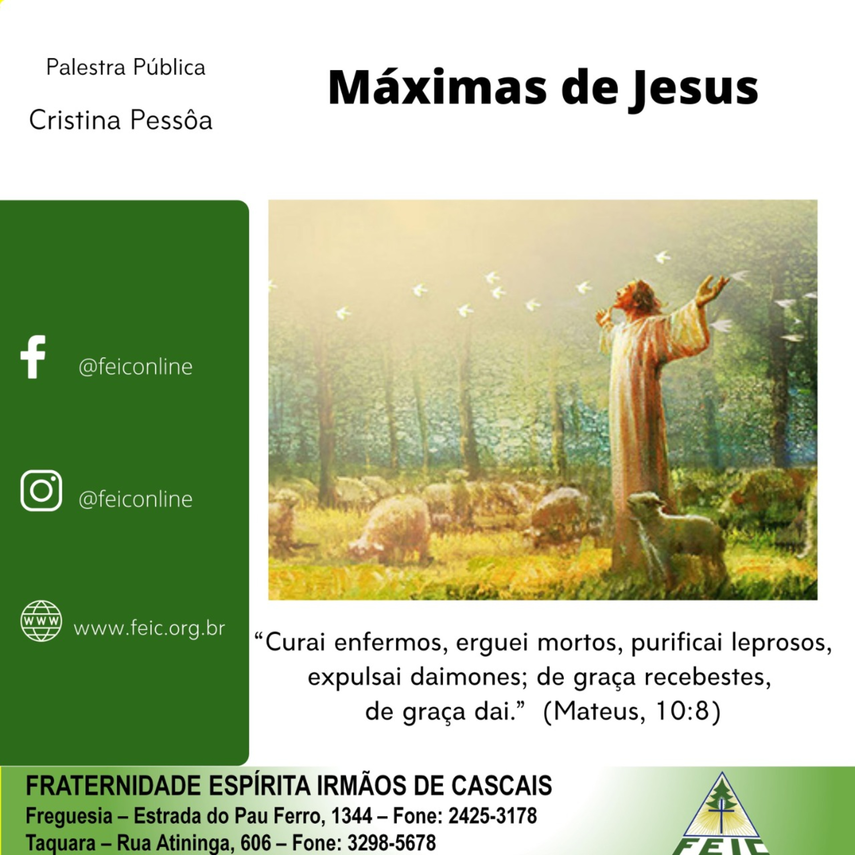Palestras Públicas - FEIC