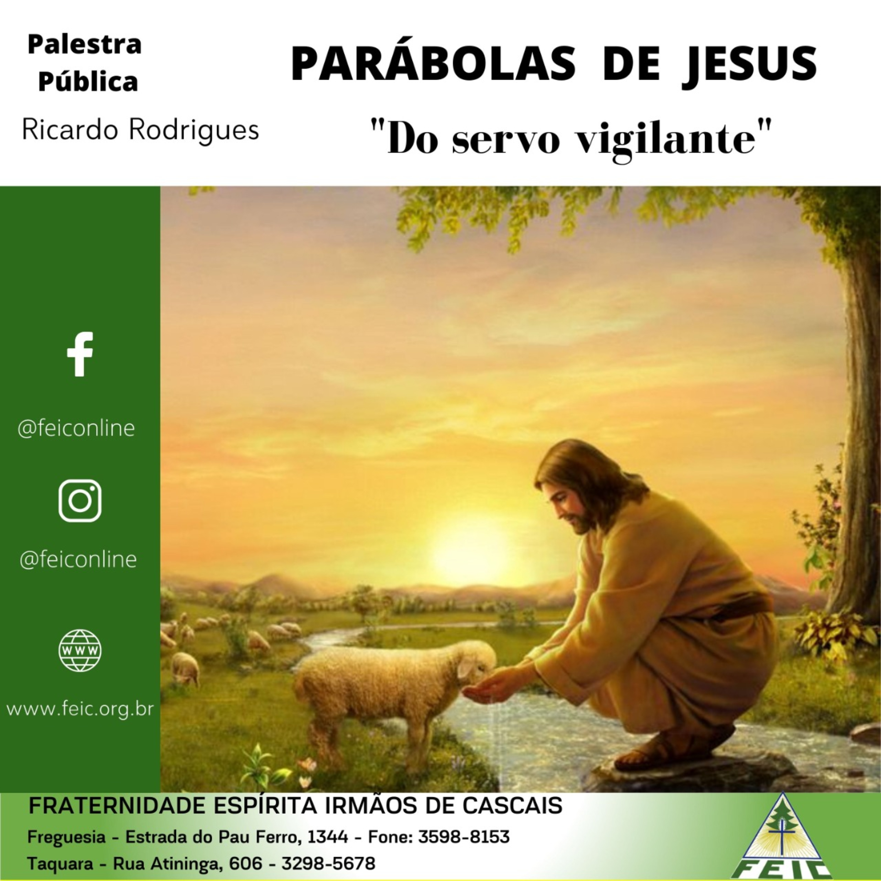 Palestras Públicas - FEIC