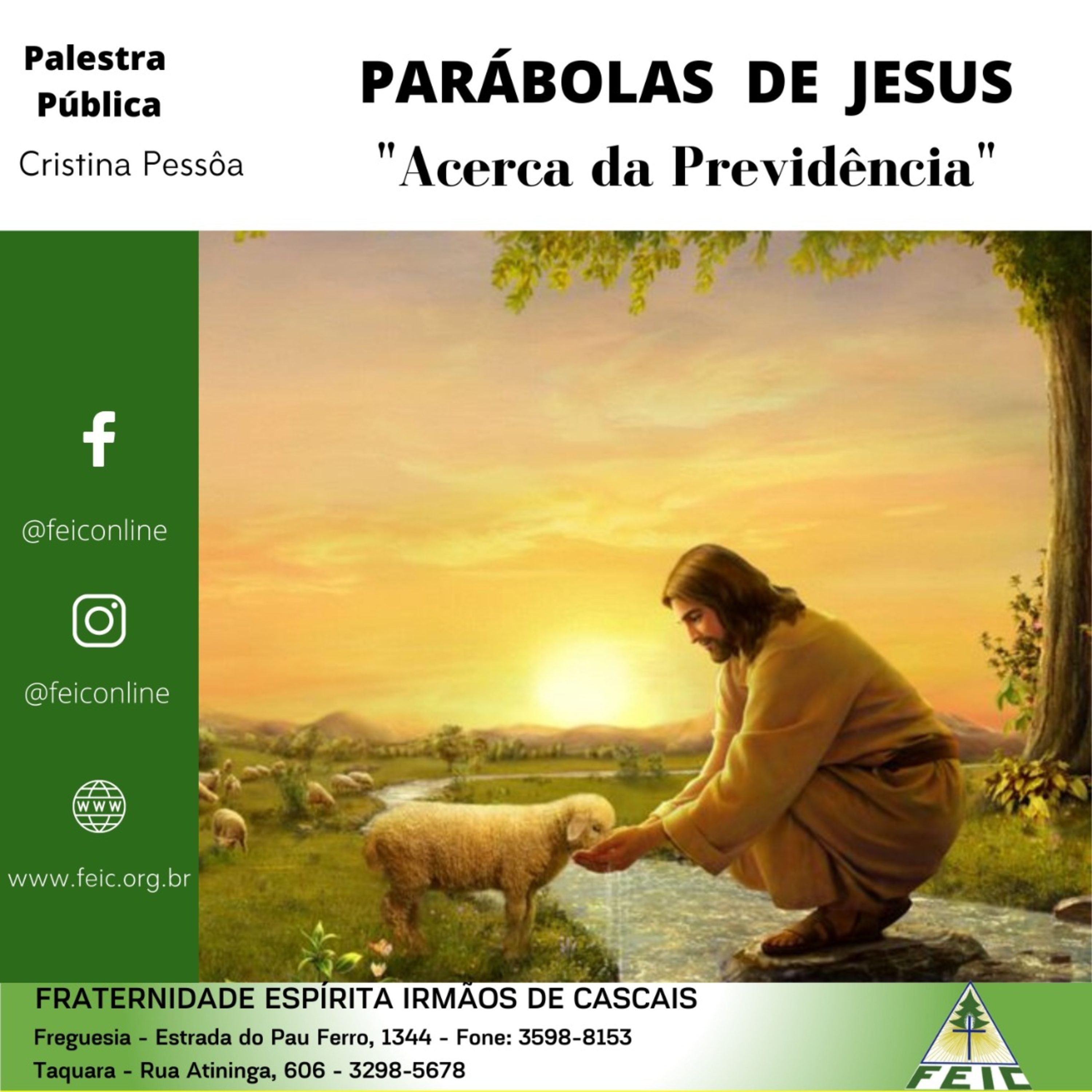 Palestras Públicas - FEIC