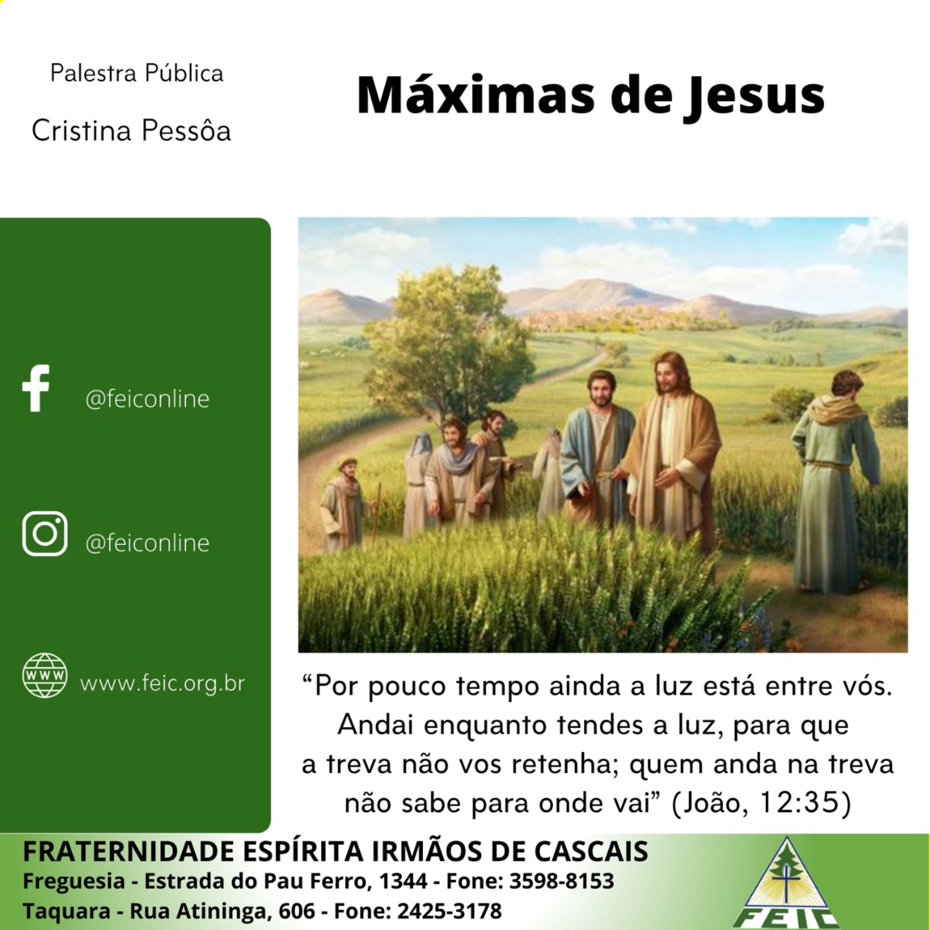 Palestras Públicas - FEIC