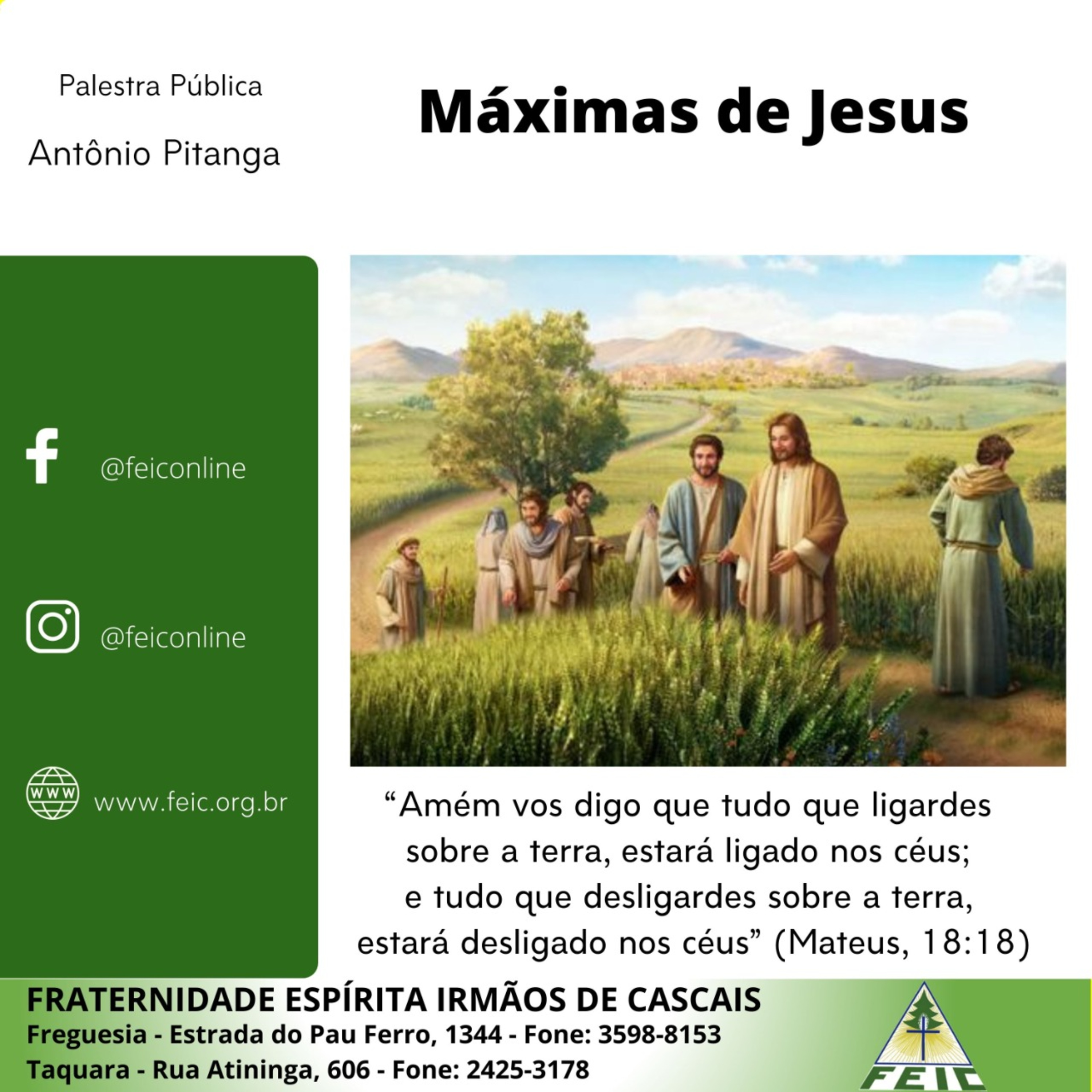 Palestras Públicas - FEIC