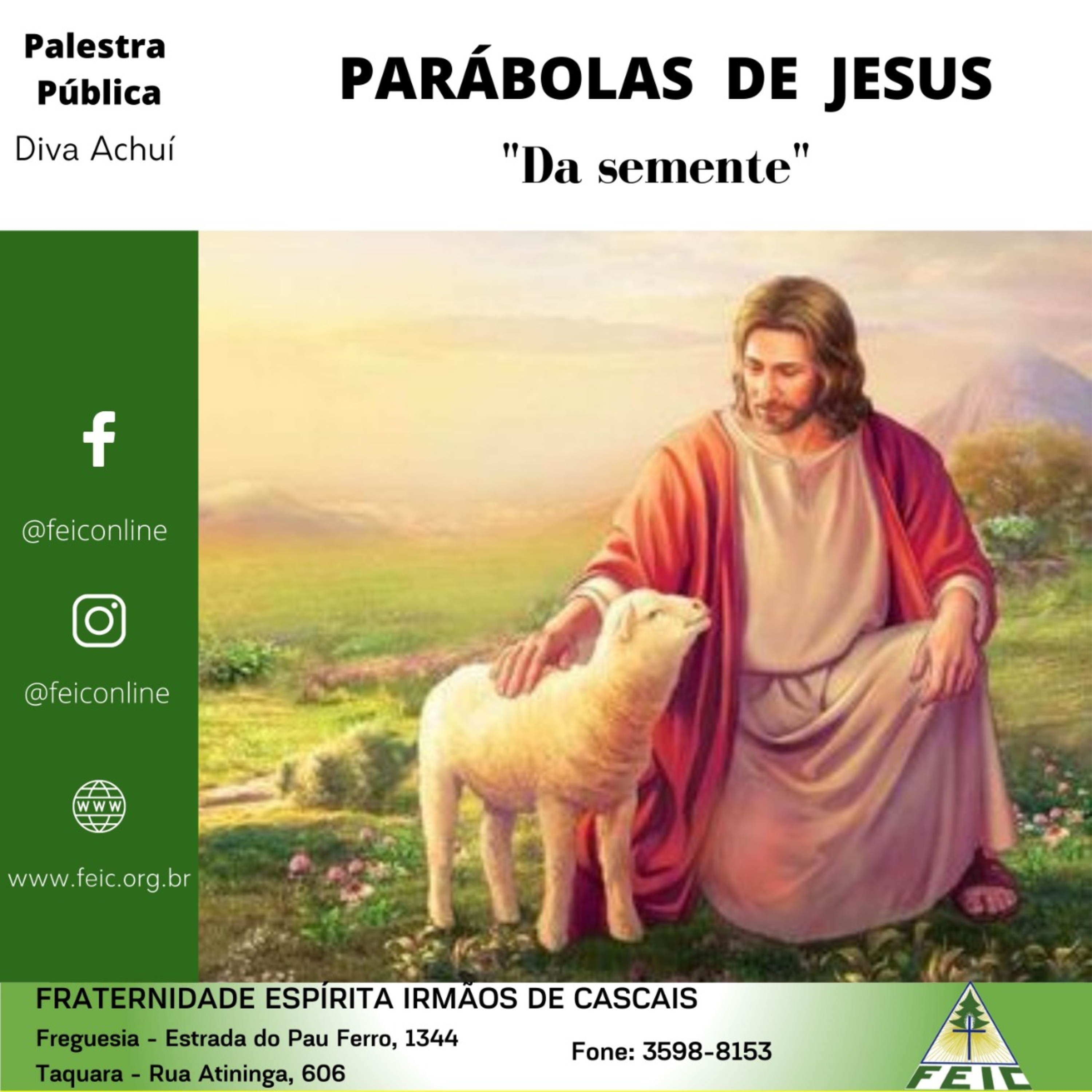 Palestras Públicas - FEIC