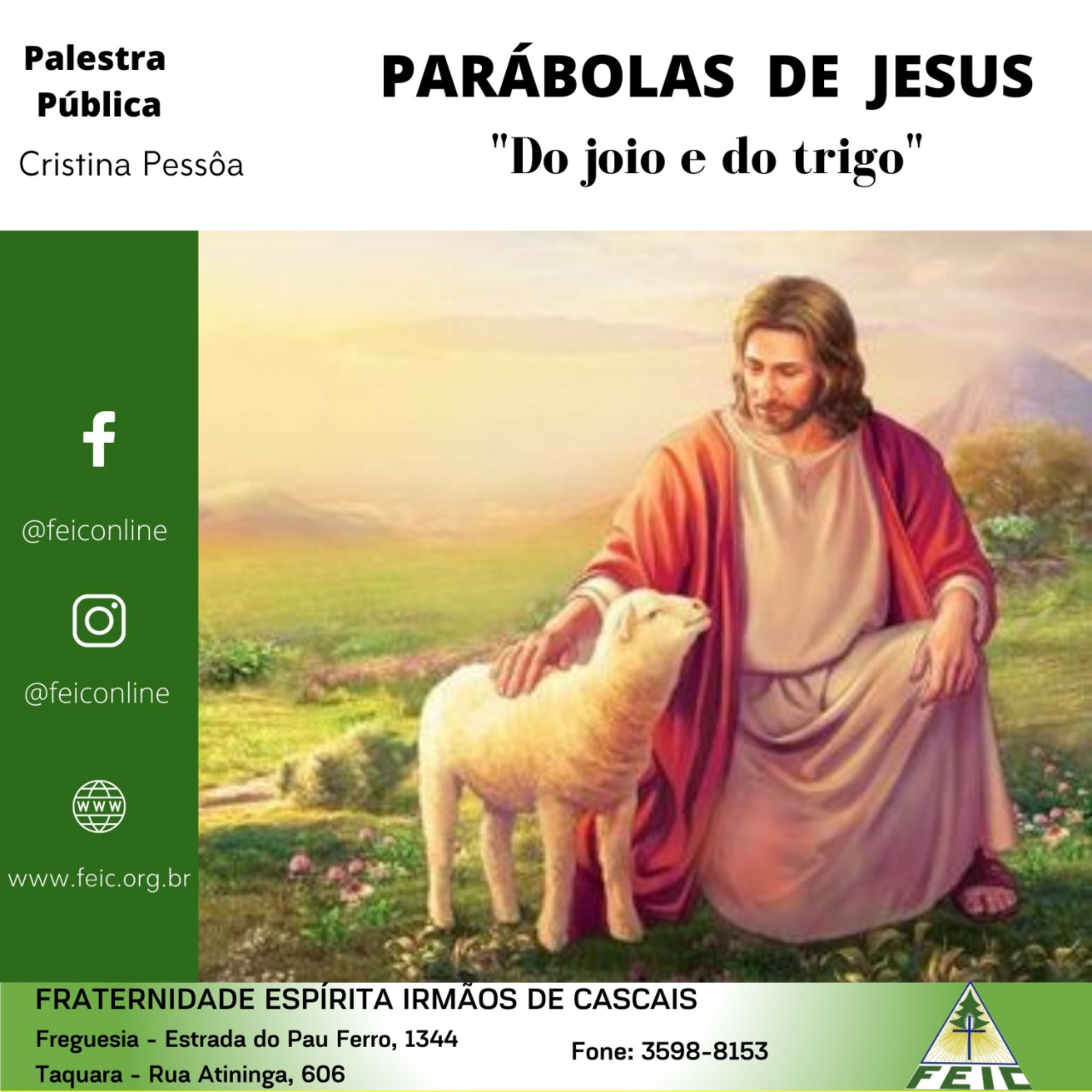 Palestras Públicas - FEIC