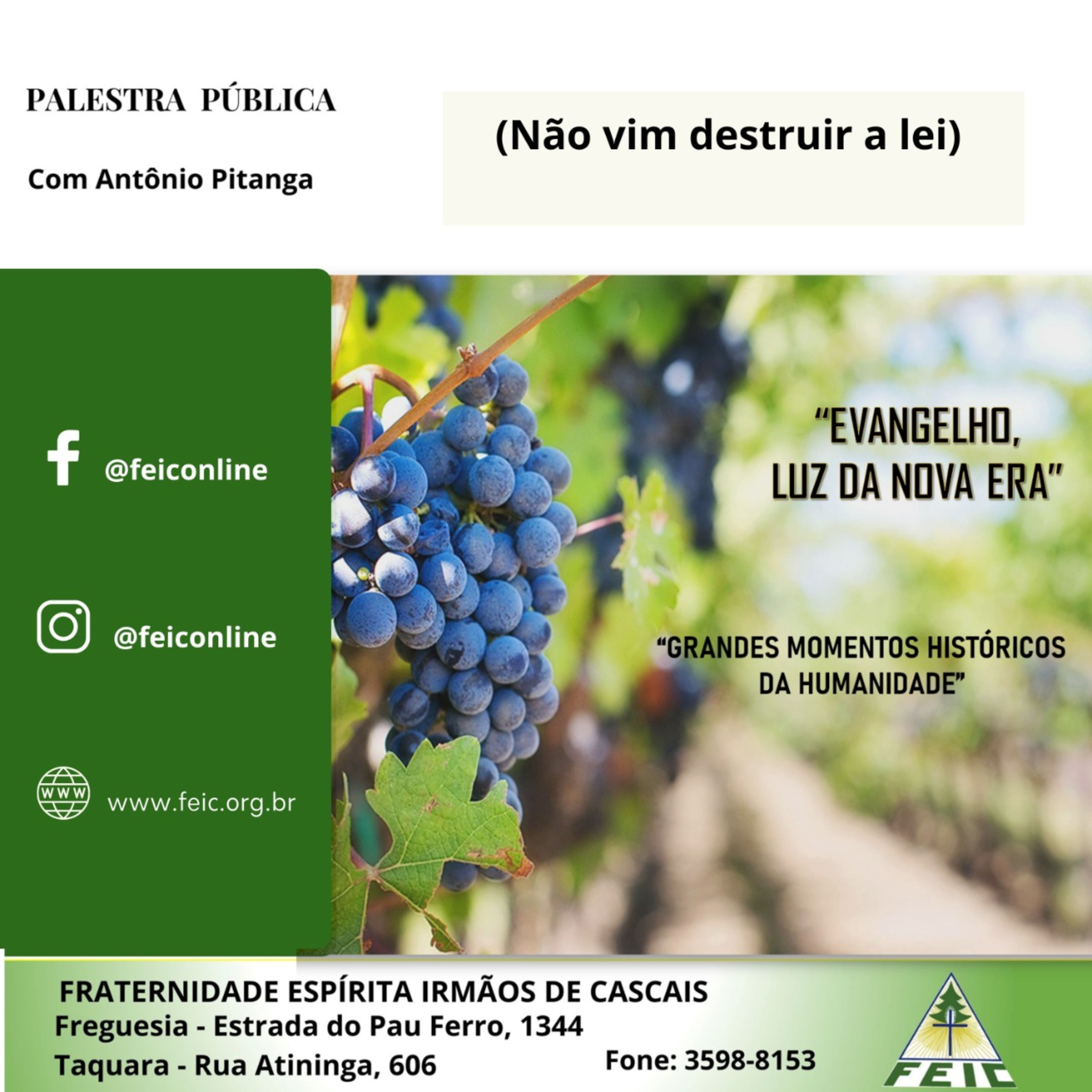 Palestras Públicas - FEIC