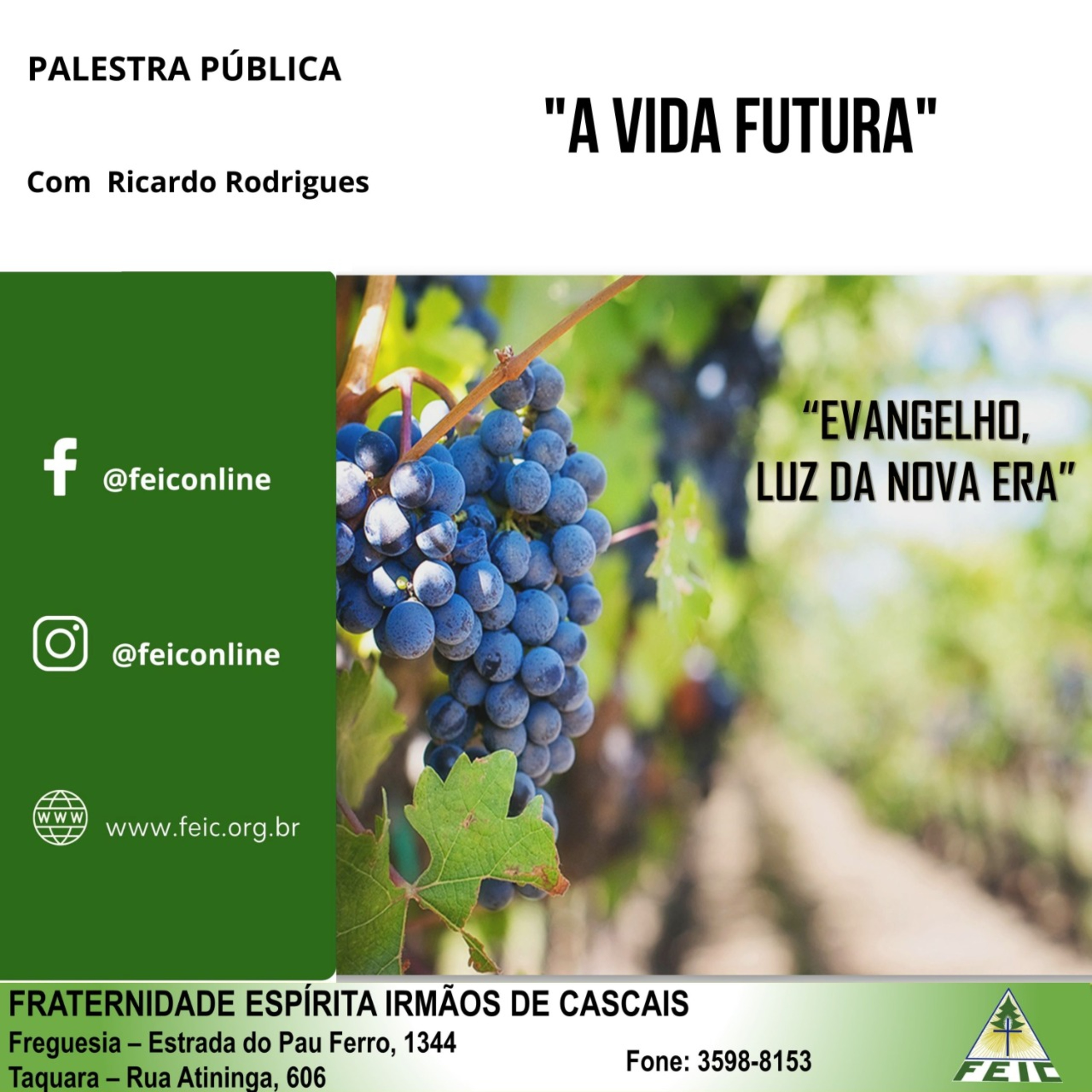 Palestras Públicas - FEIC