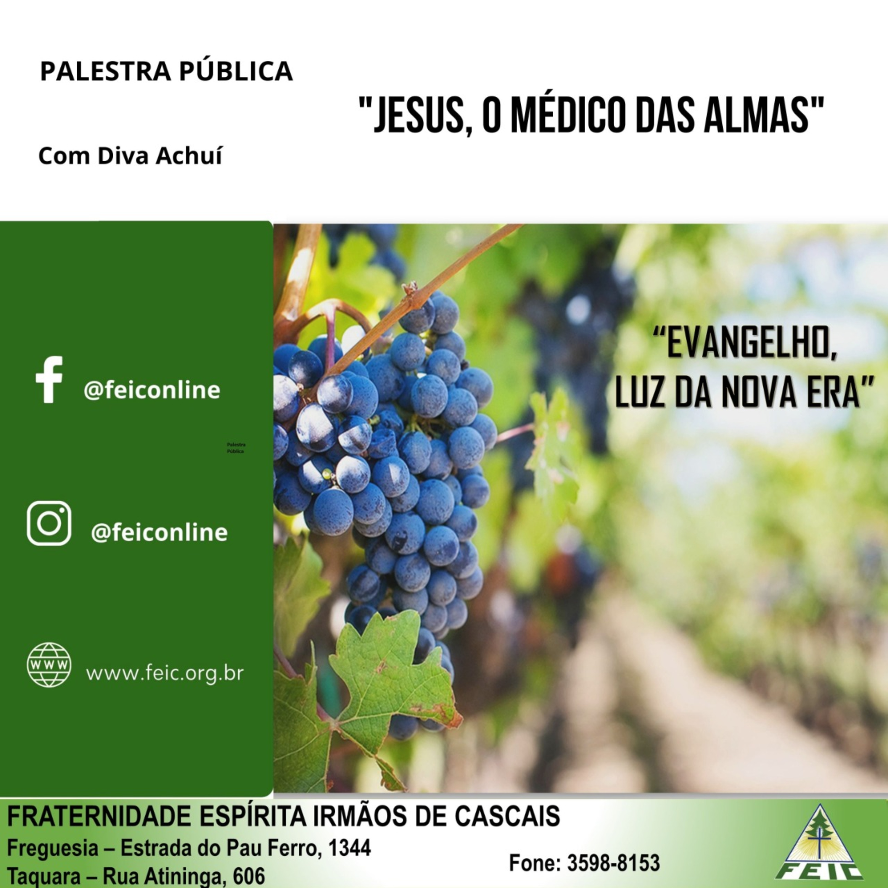 Palestras Públicas - FEIC