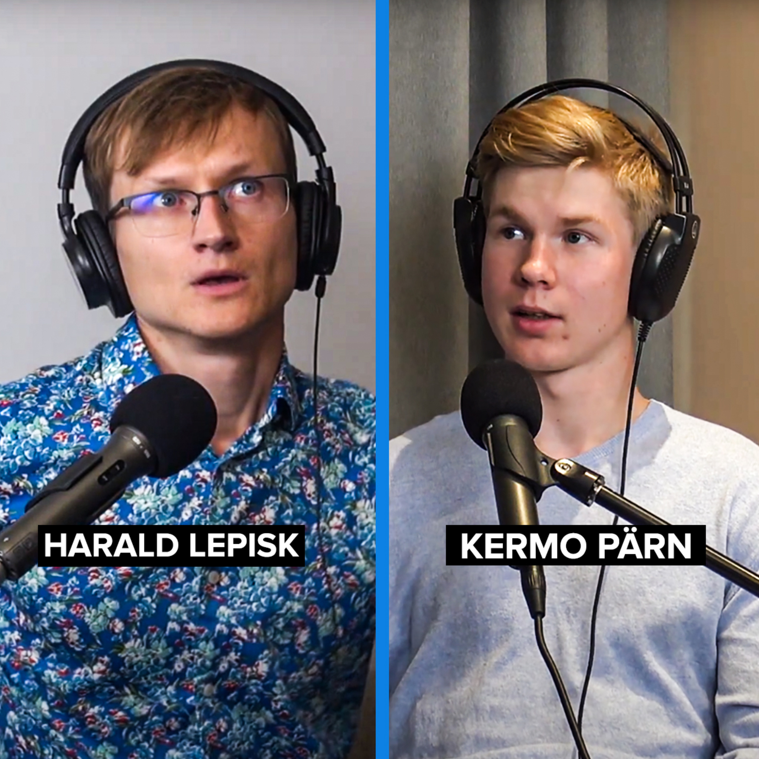 Samm Vabadusse Podcast - Harald Lepisk