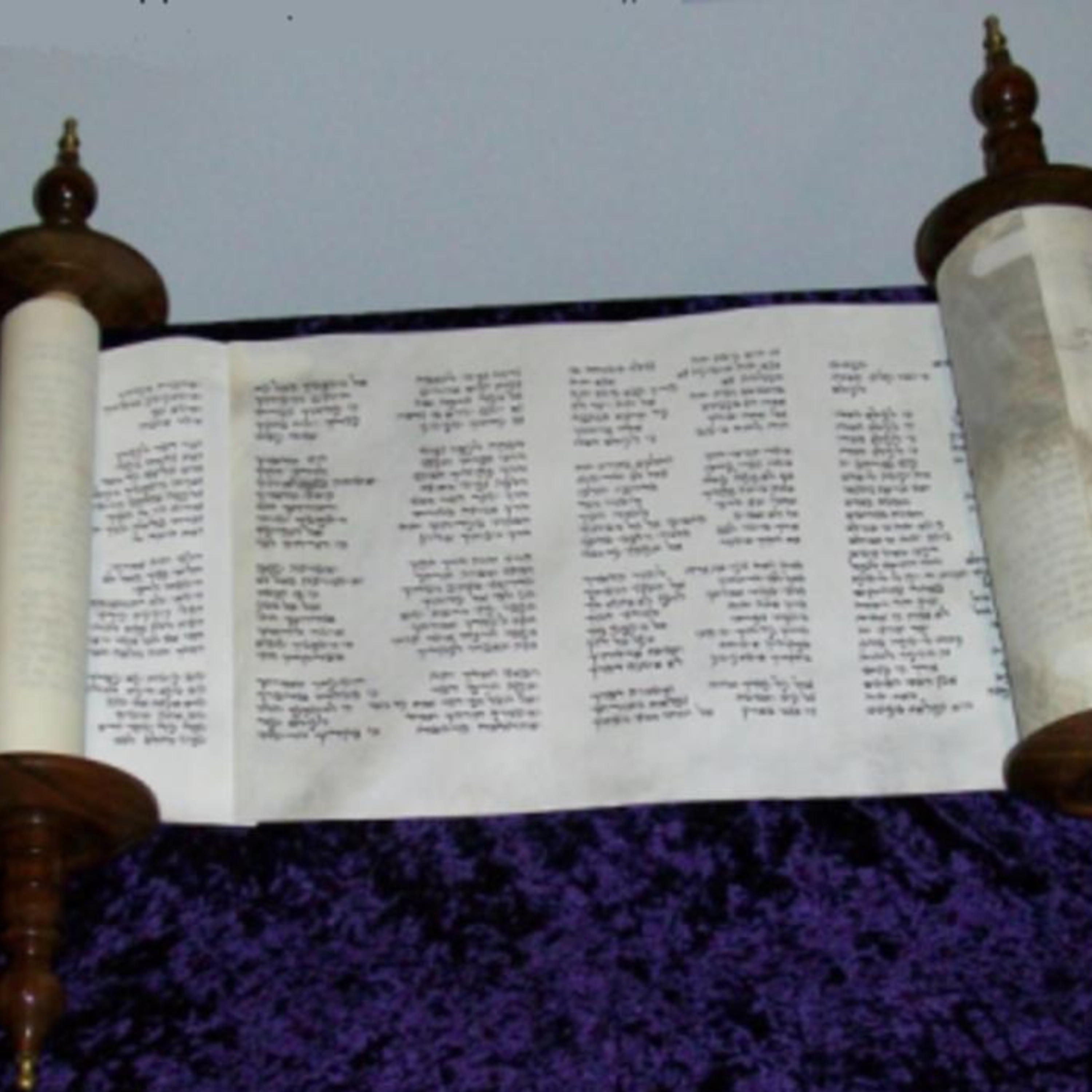 What\'s the Bible Say?
