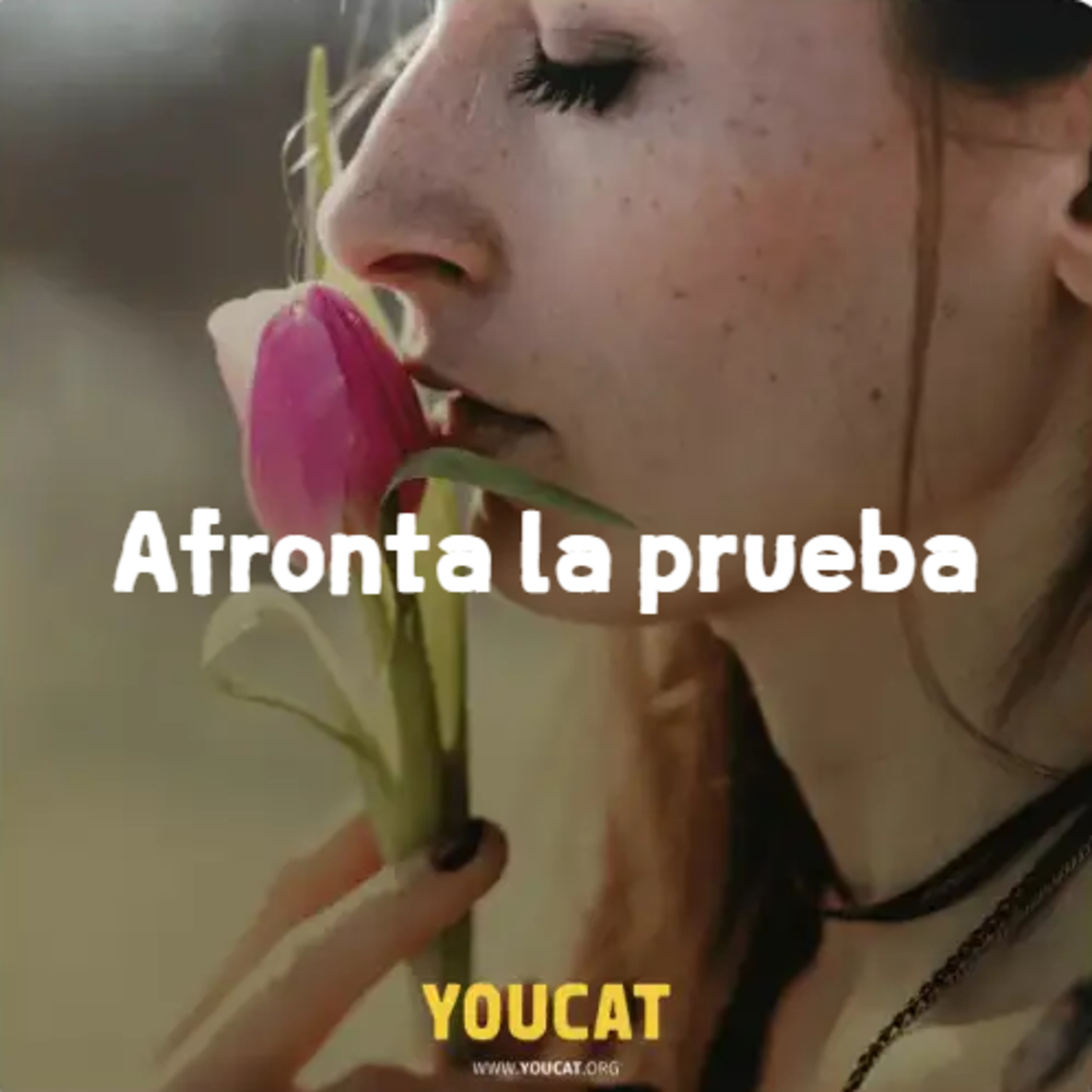 YOUCAT Daily podcast