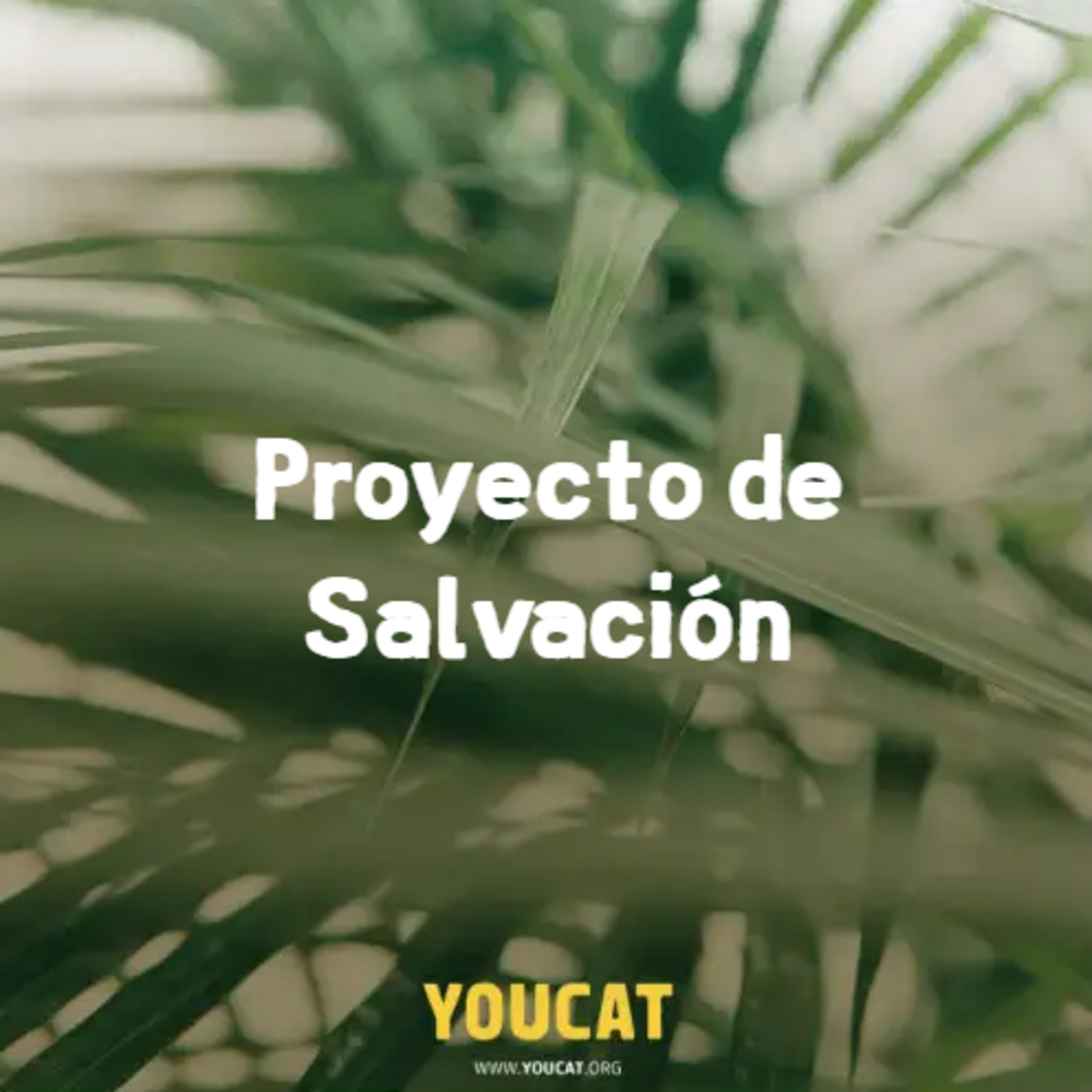 YOUCAT Daily podcast