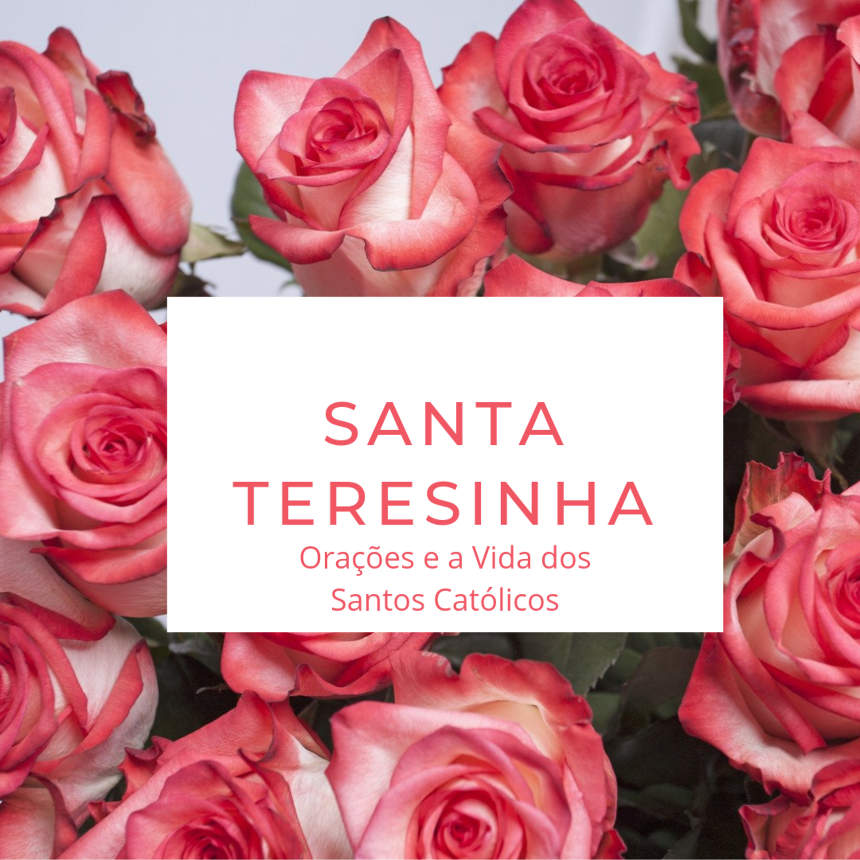 Orações e a Vida Dos Santos Católicos ♡