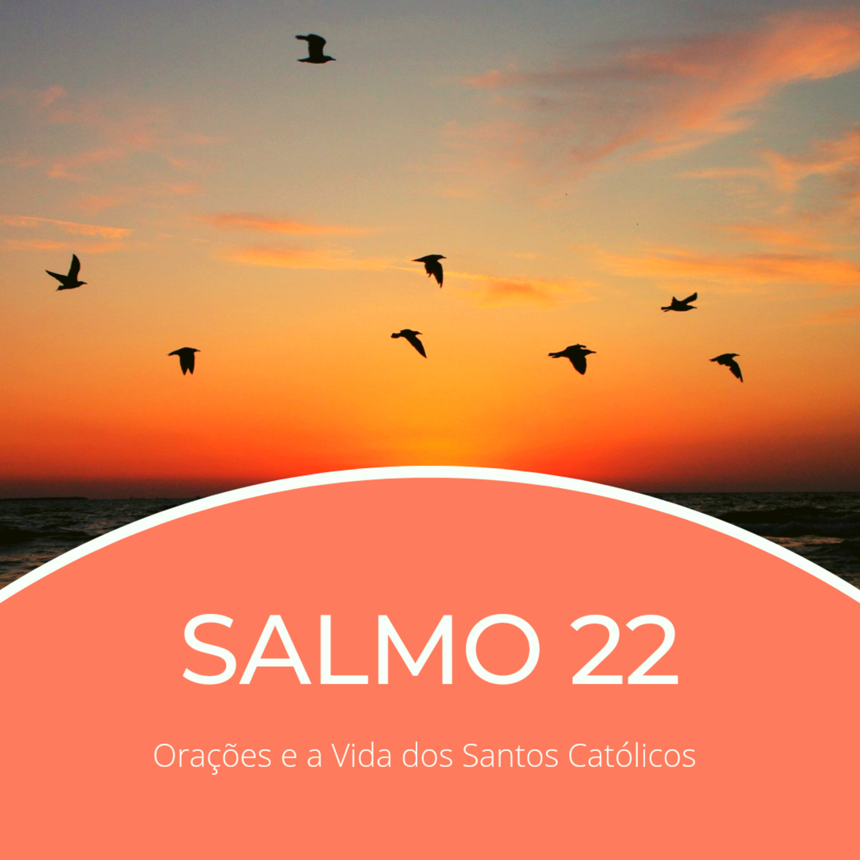 Orações e a Vida Dos Santos Católicos ♡