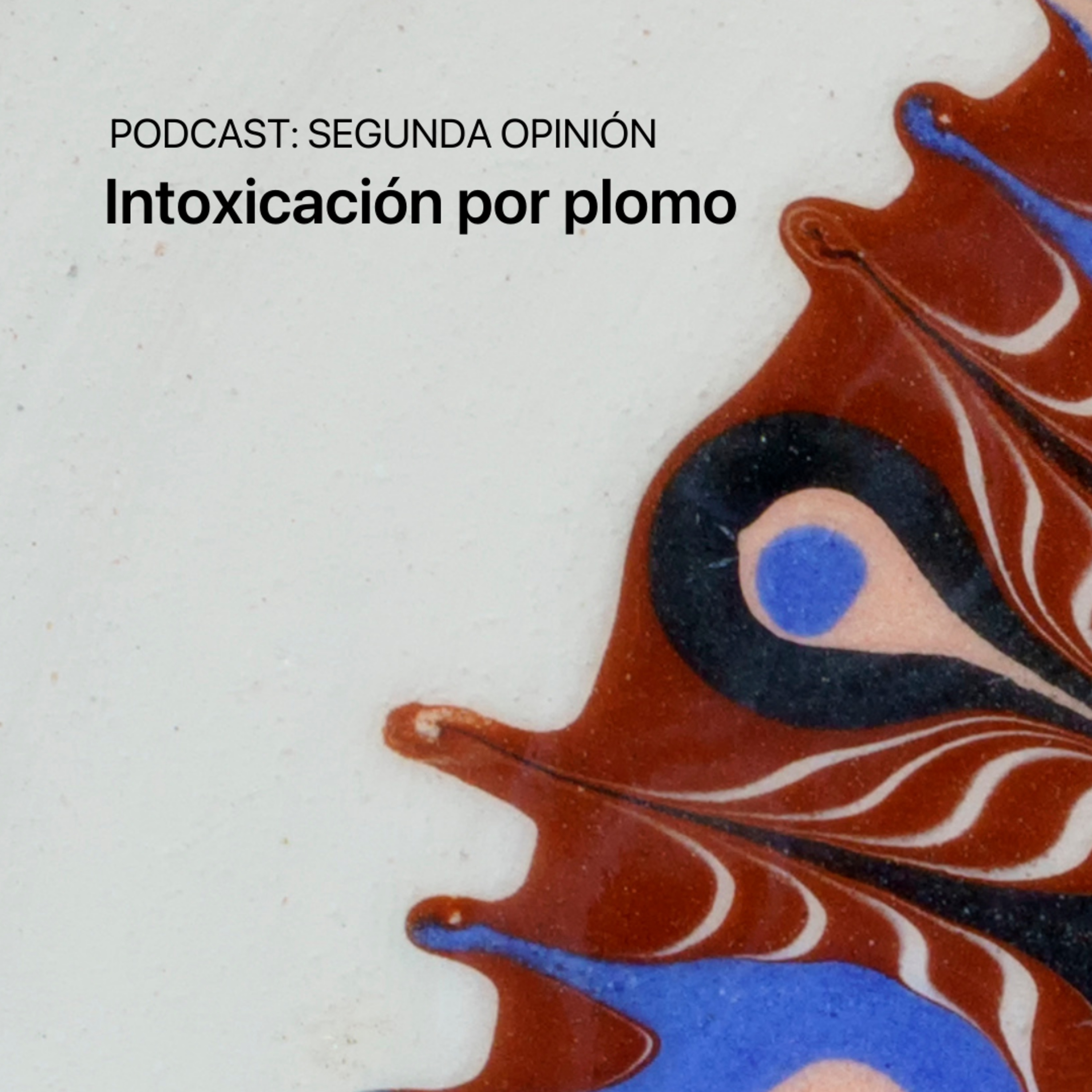 Segunda Opinión