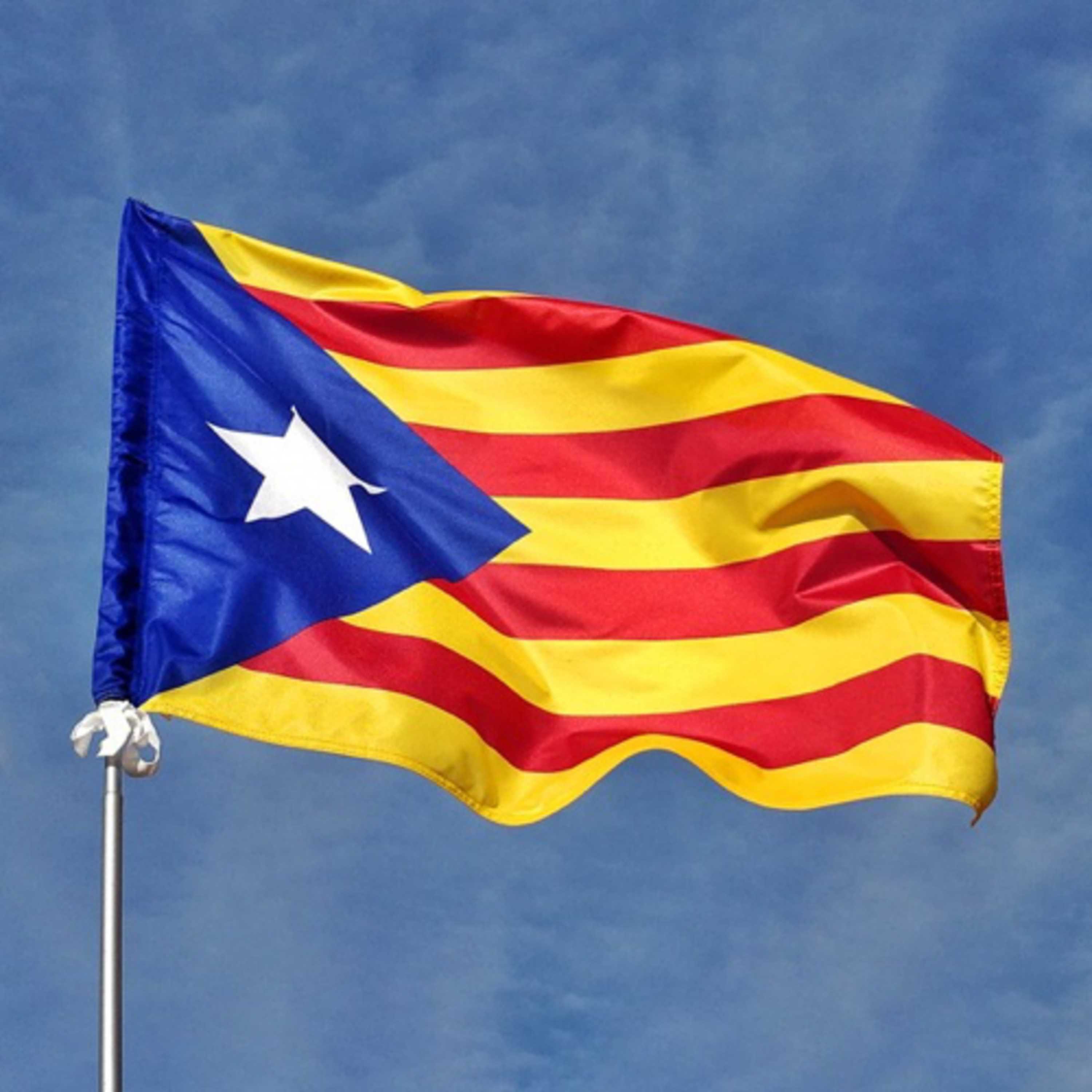 Carles Agustí