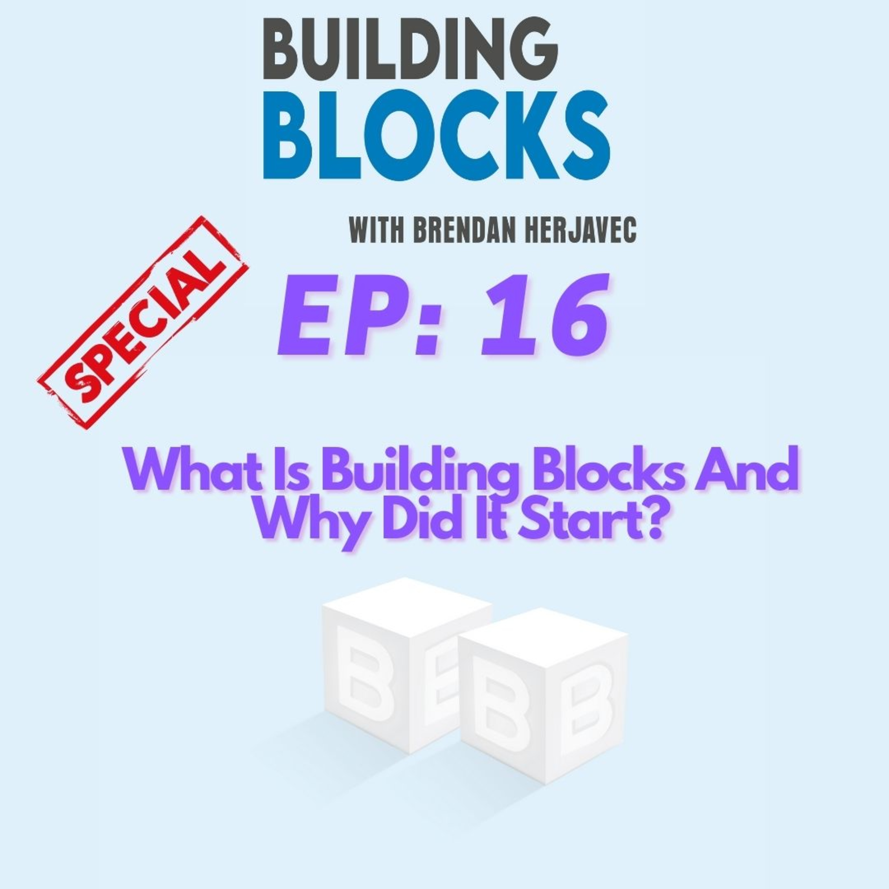 Building Blocks With Brendan Herjavec