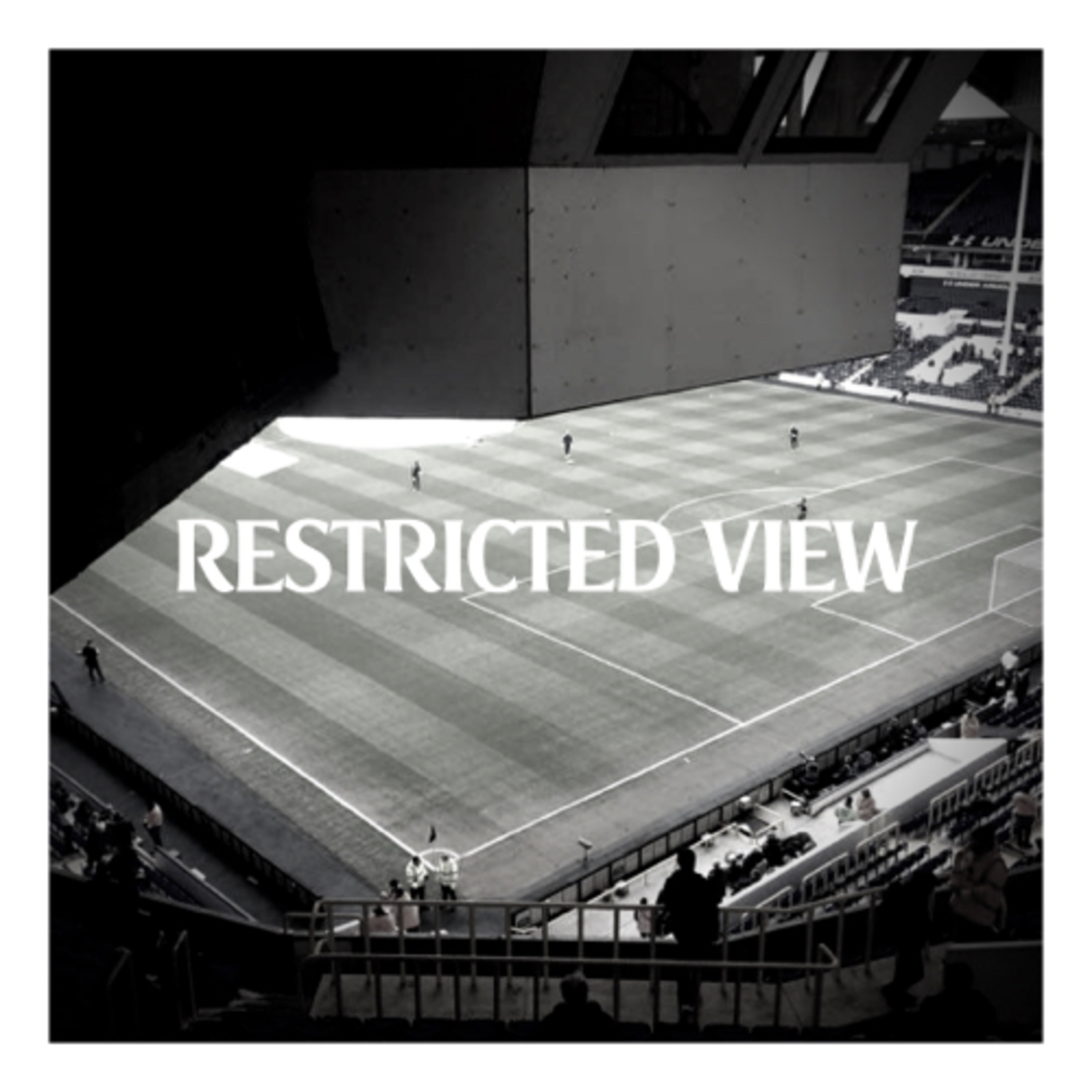 Restricted View episode artwork