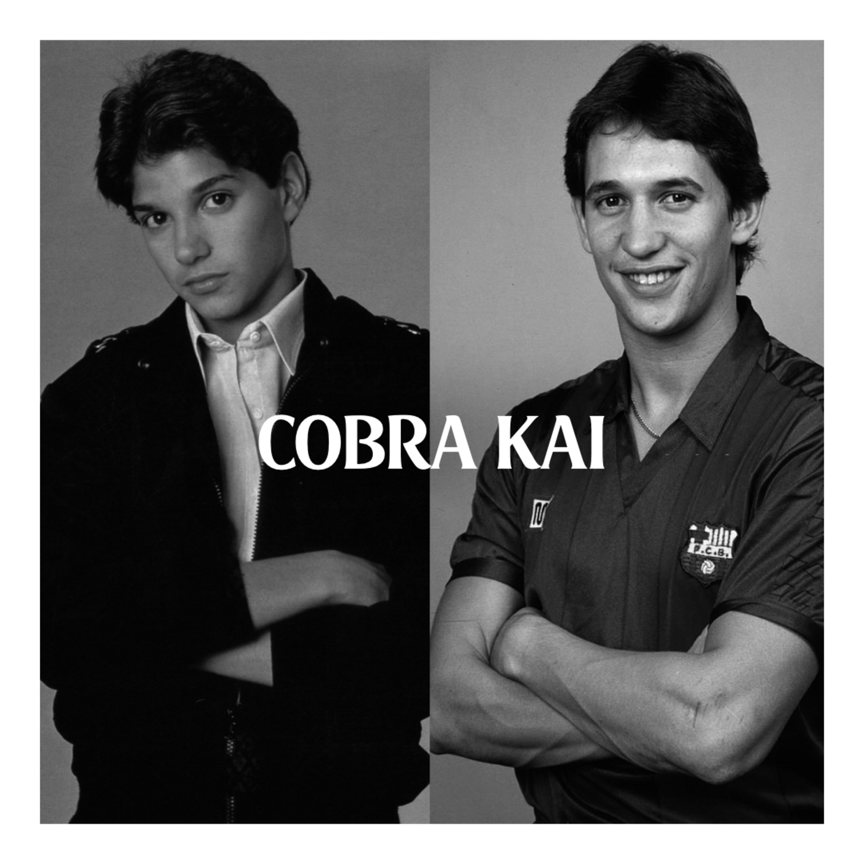 Cobra Kai episode artwork