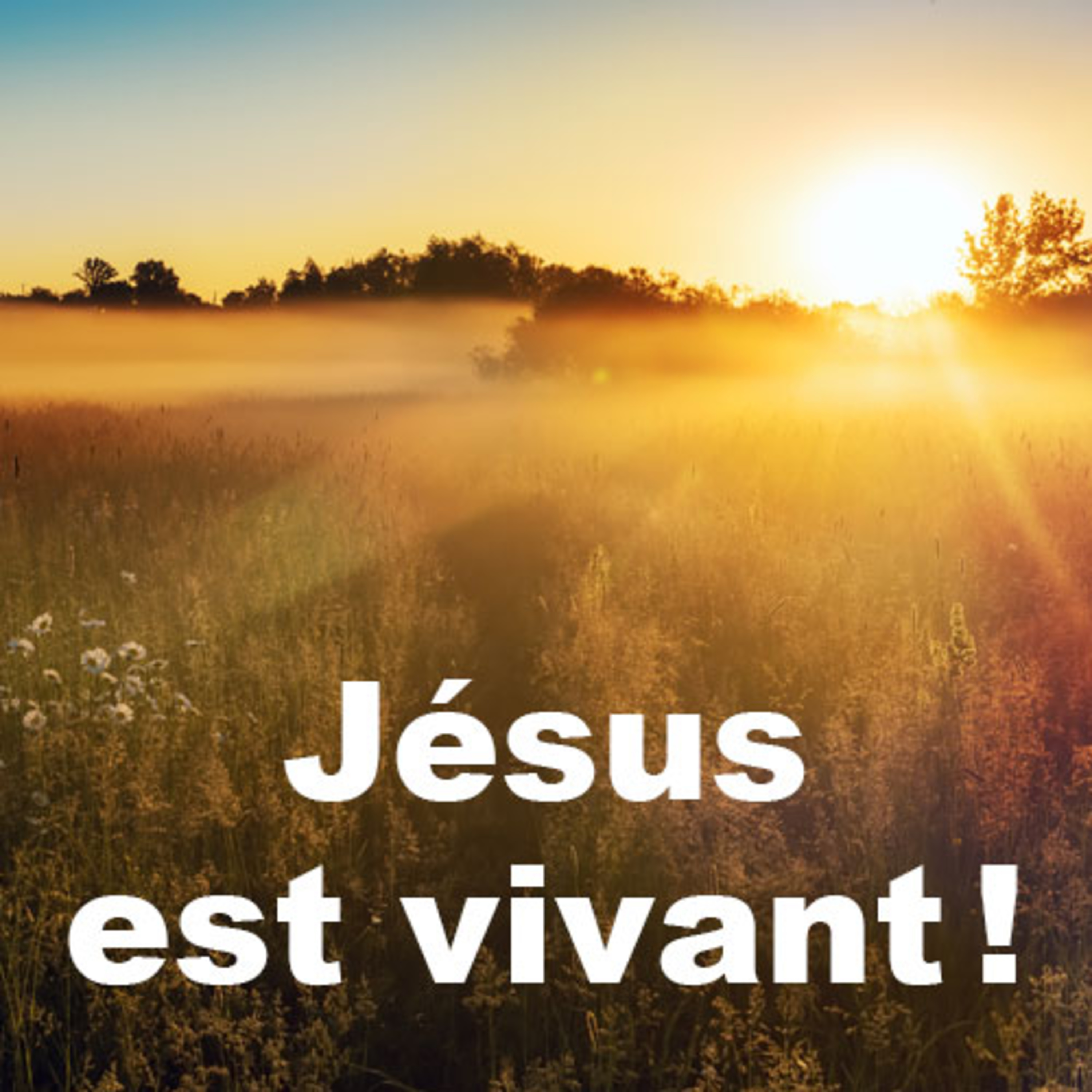 Les parcours St-Thomas