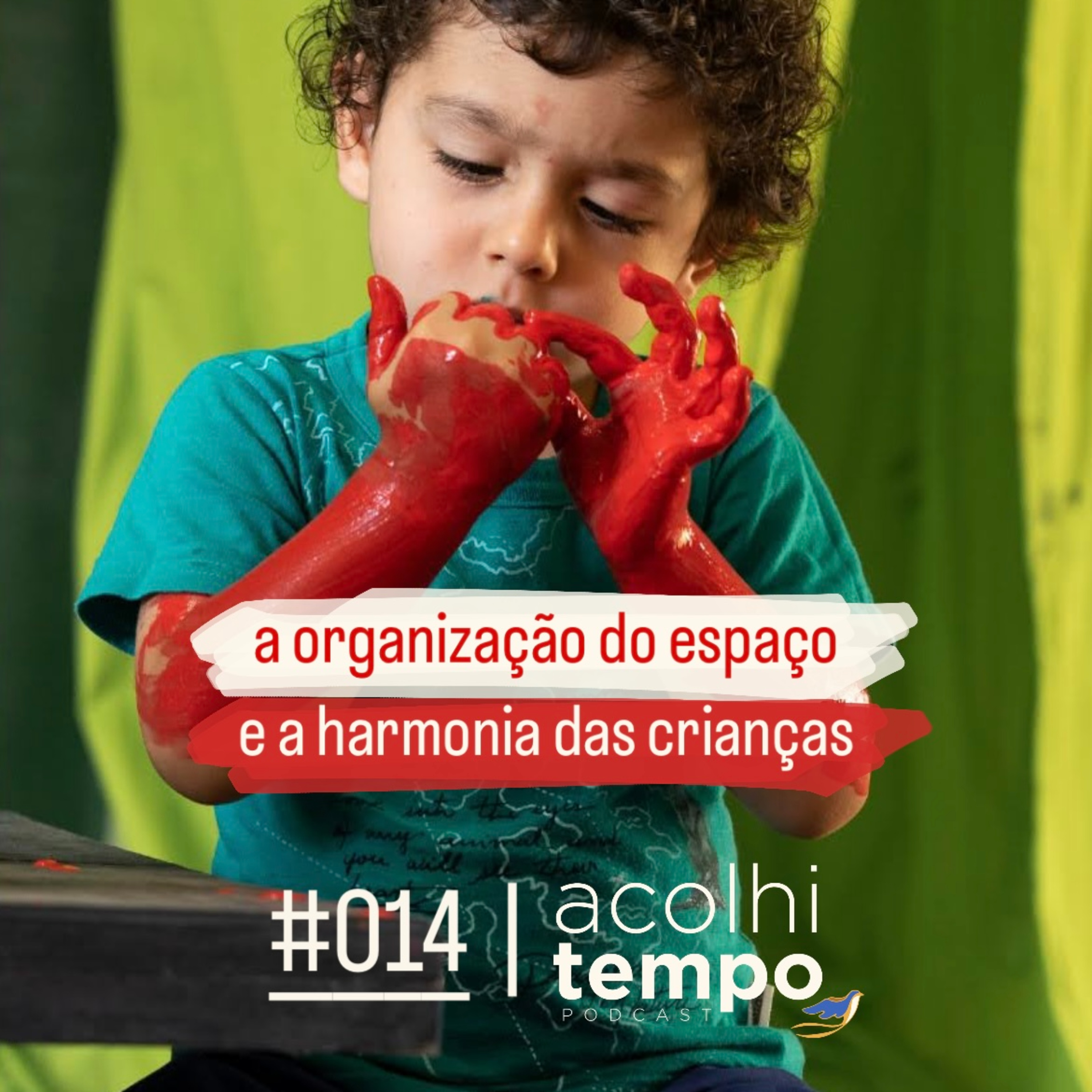 A organização do espaço e a harmonia das crianças | acolhitempo 14