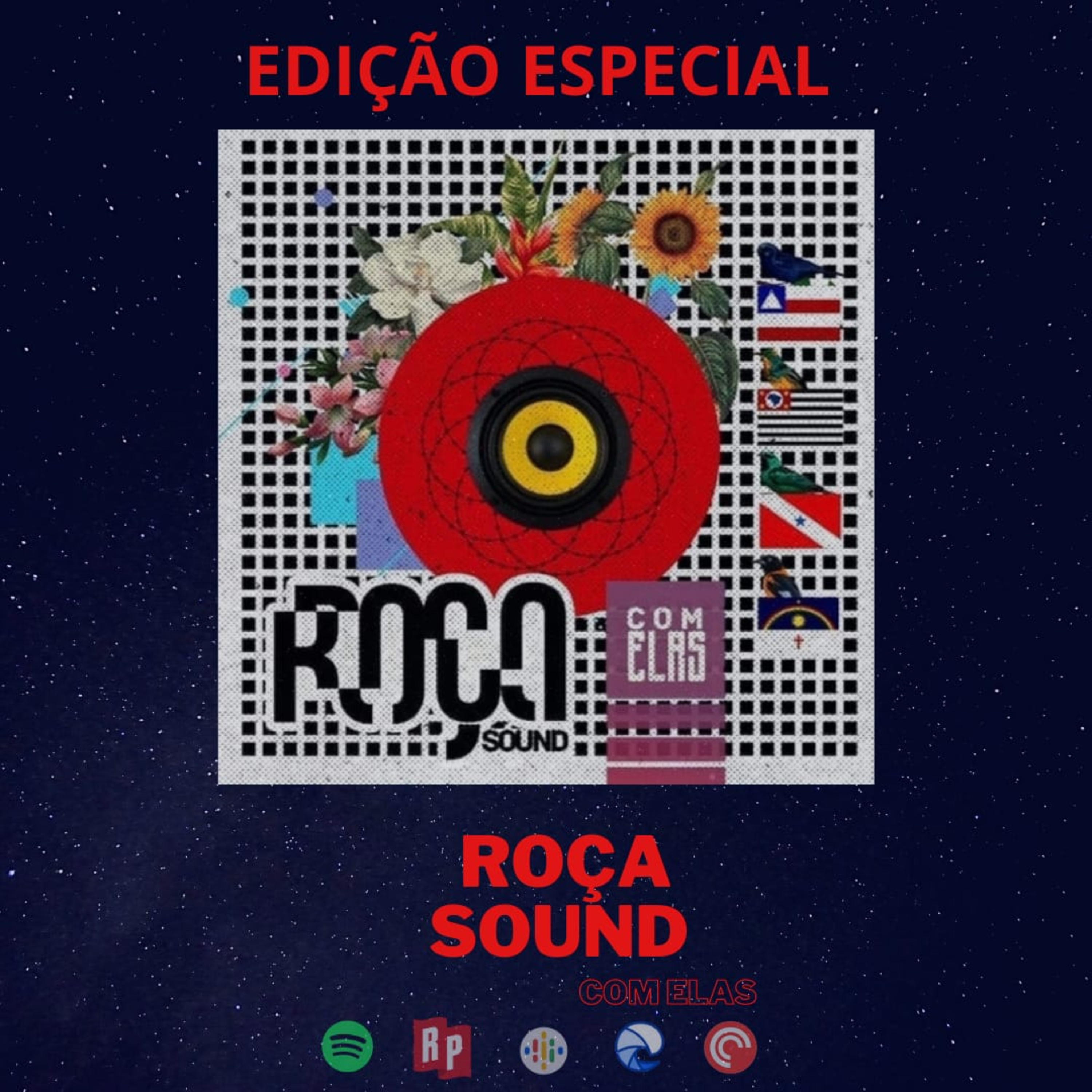Transmitindo no Espaço