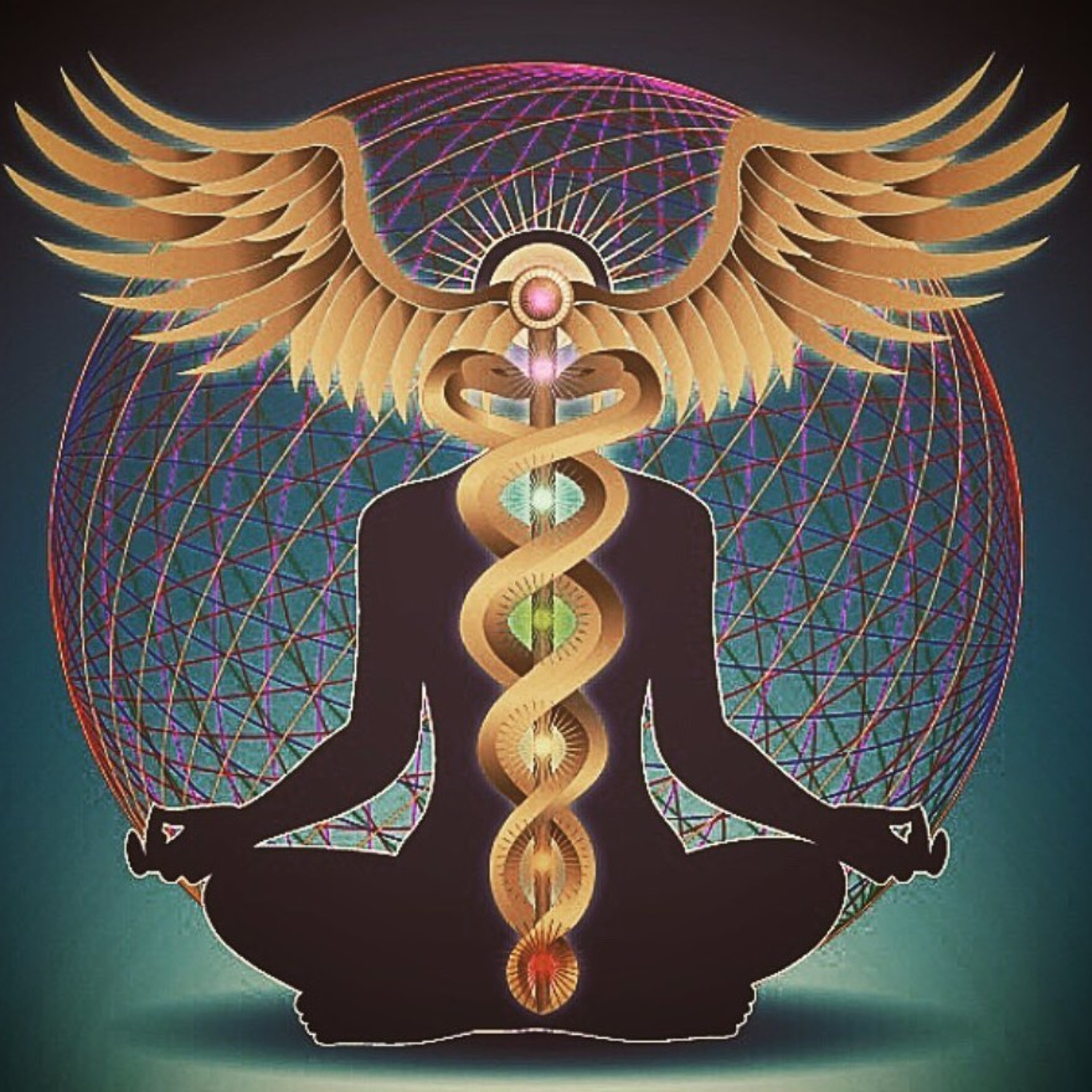 Wisdom Warriors
