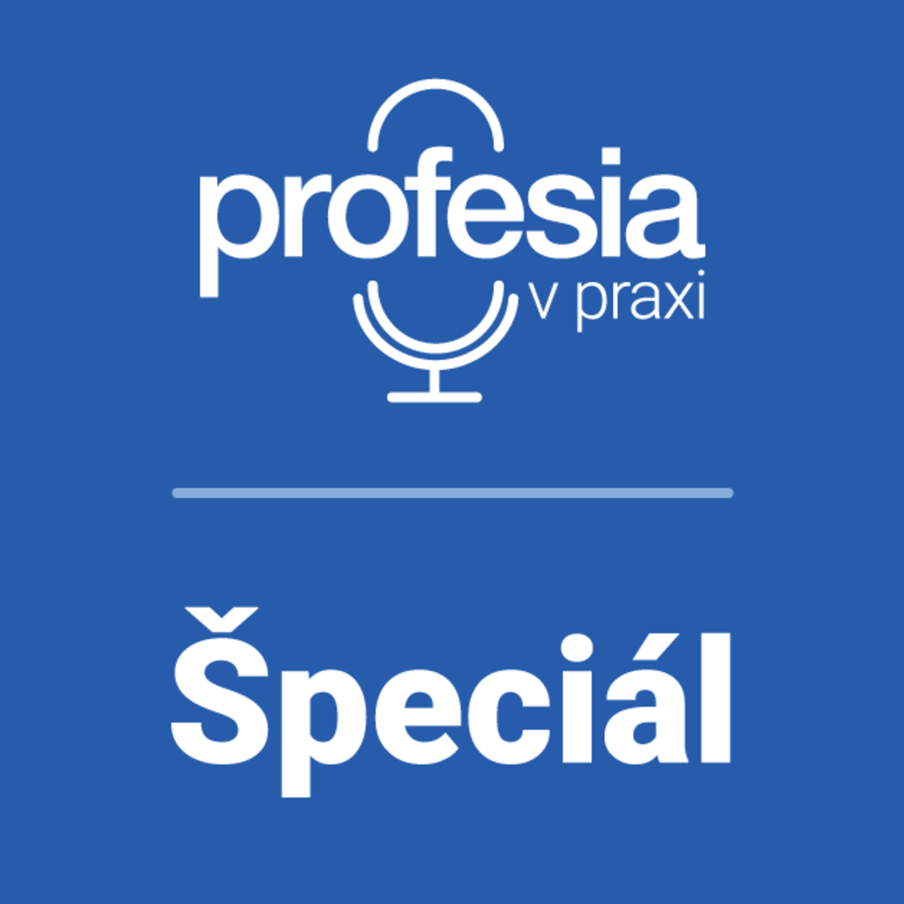 Profesia v praxi