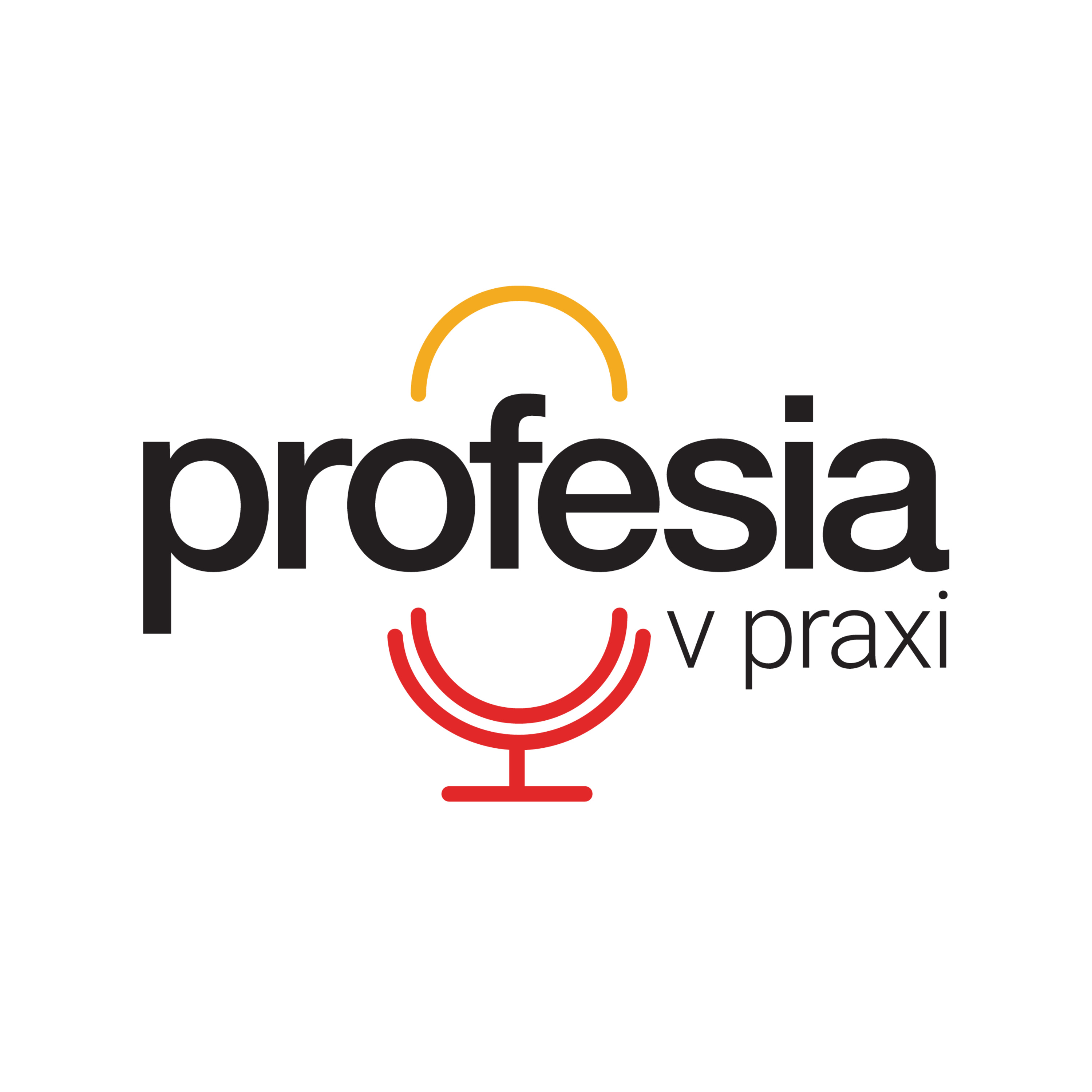 Profesia v praxi