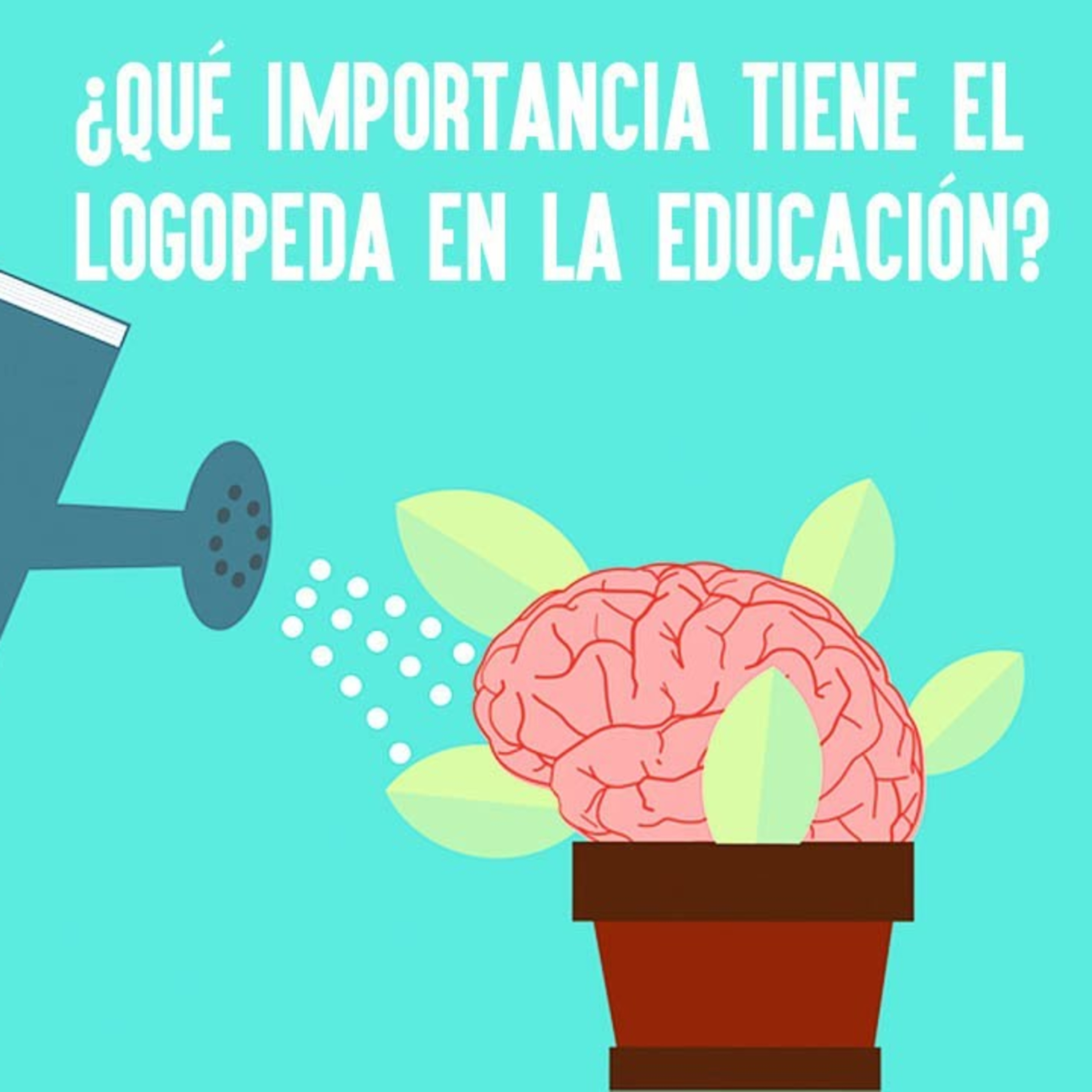 ✴️ HABLAMOS DE LA IMPORTANCIA DEL LOGOPEDA EN EDUCACIÓN