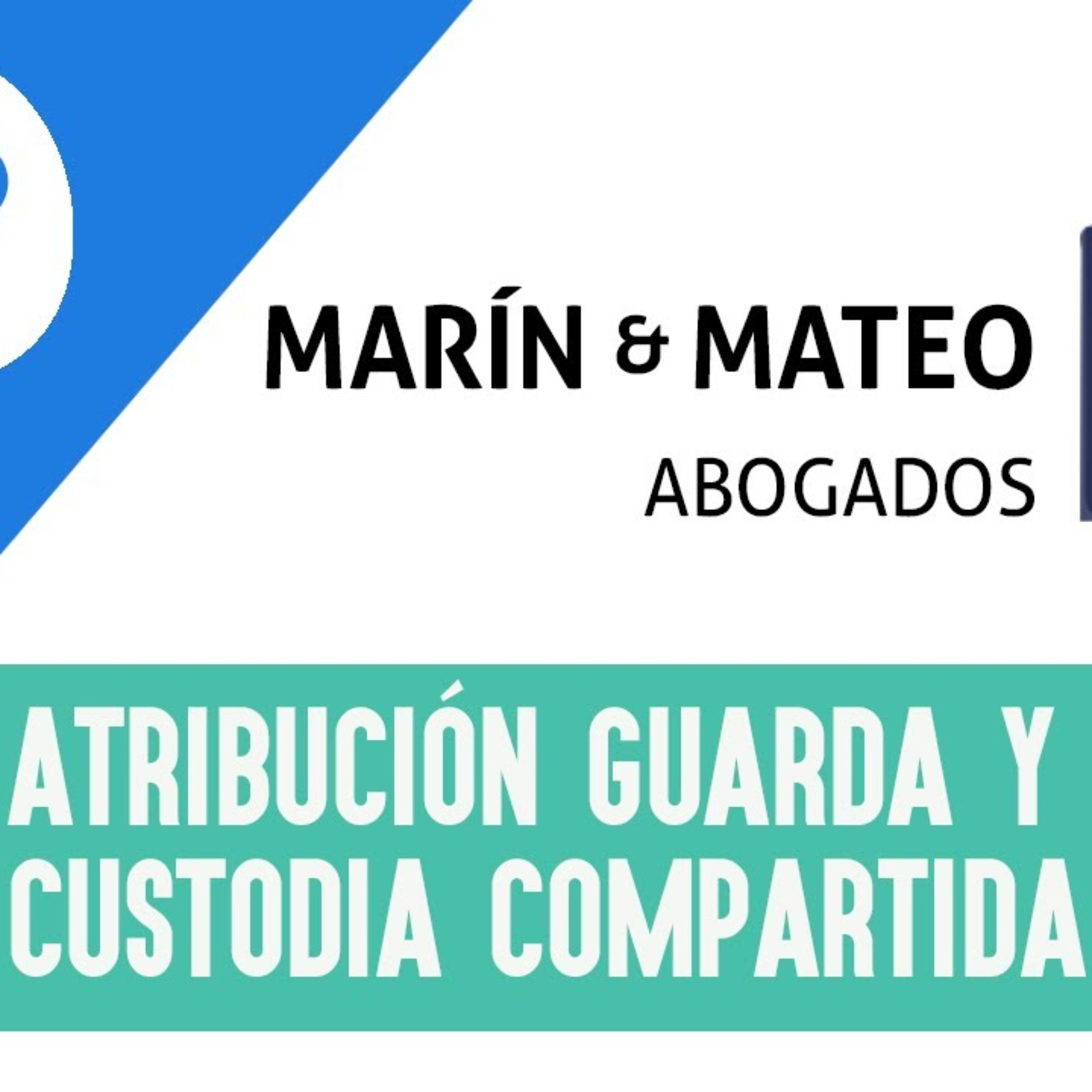 🚸  ATRIBUCIÓN DE LA GUARDA Y CUSTODIA COMPARTIDA